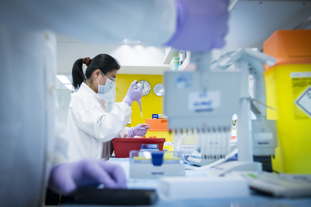 Leucemia linfocítica crónica refractaria: Estudio fase III ASCEND evaluando acalabrutinib alcanza objetivo primario en análisis interino y cerrara anticipadamente