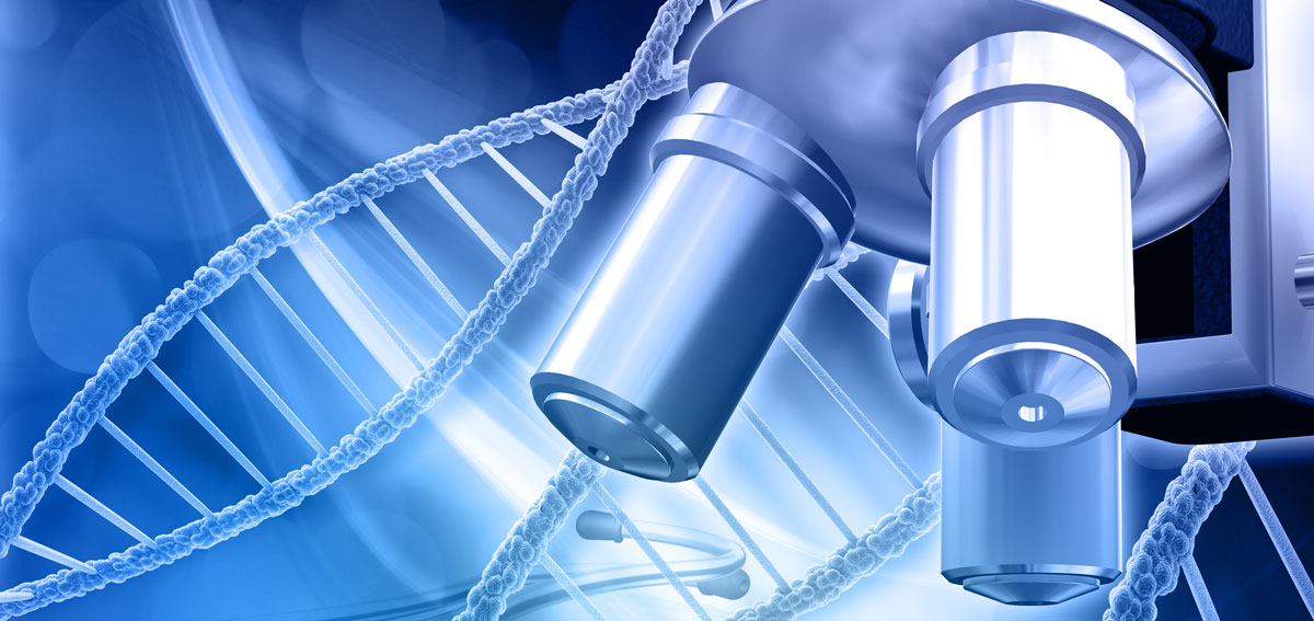 Premio Nobel de Medicina y Fisiología 2019