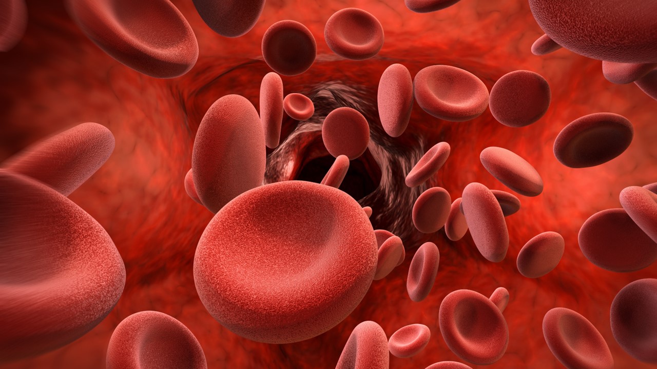 LLC, LLCP, LCM R/R: FDA aprueba tabletas de acalabrutinib en todas las indicaciones actuales, ELEVATE-PLUS