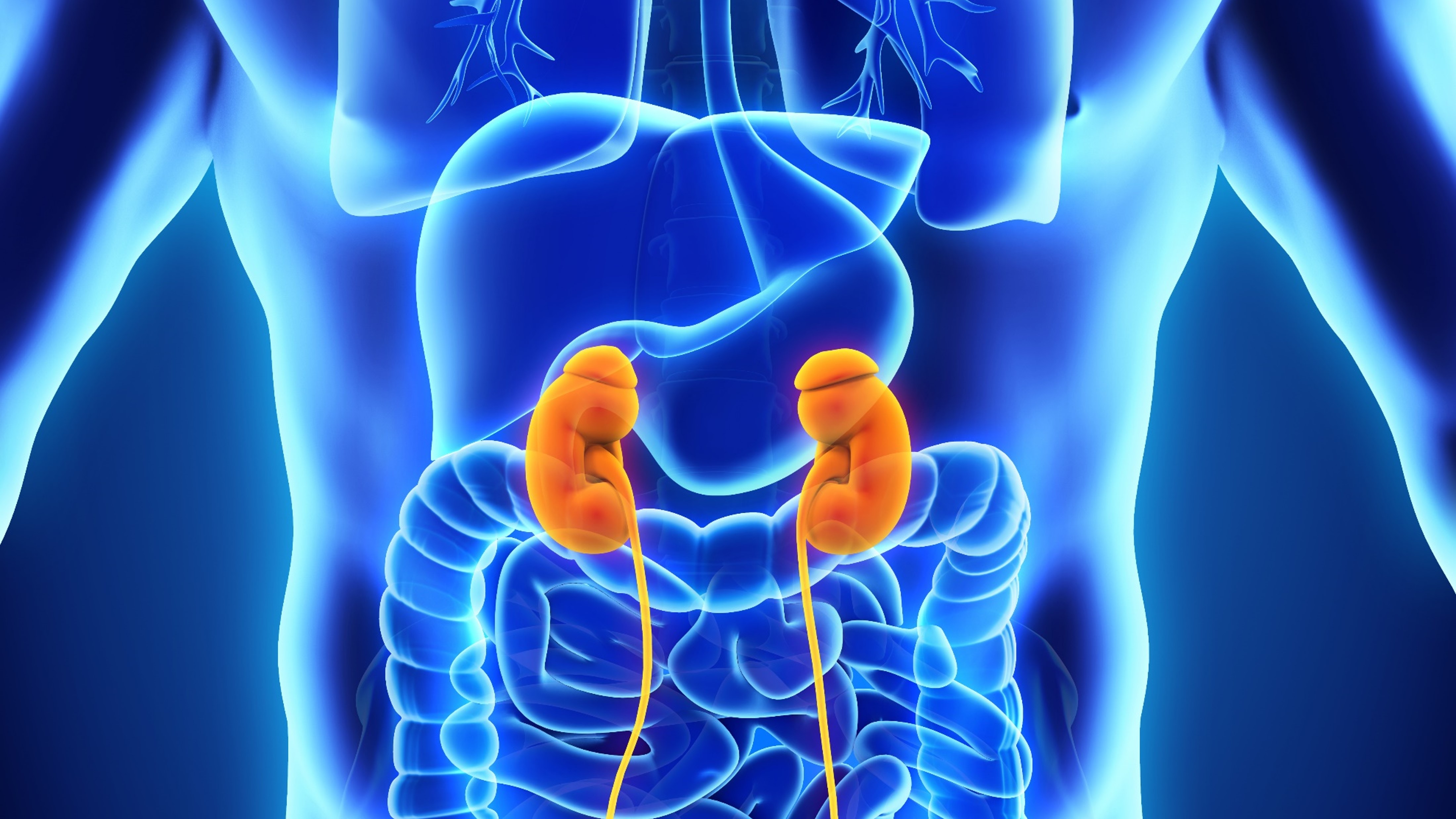 Ca. renal metastásico: COFEPRIS aprobó nivolumab + cabozantinib para el tratamiento de 1L