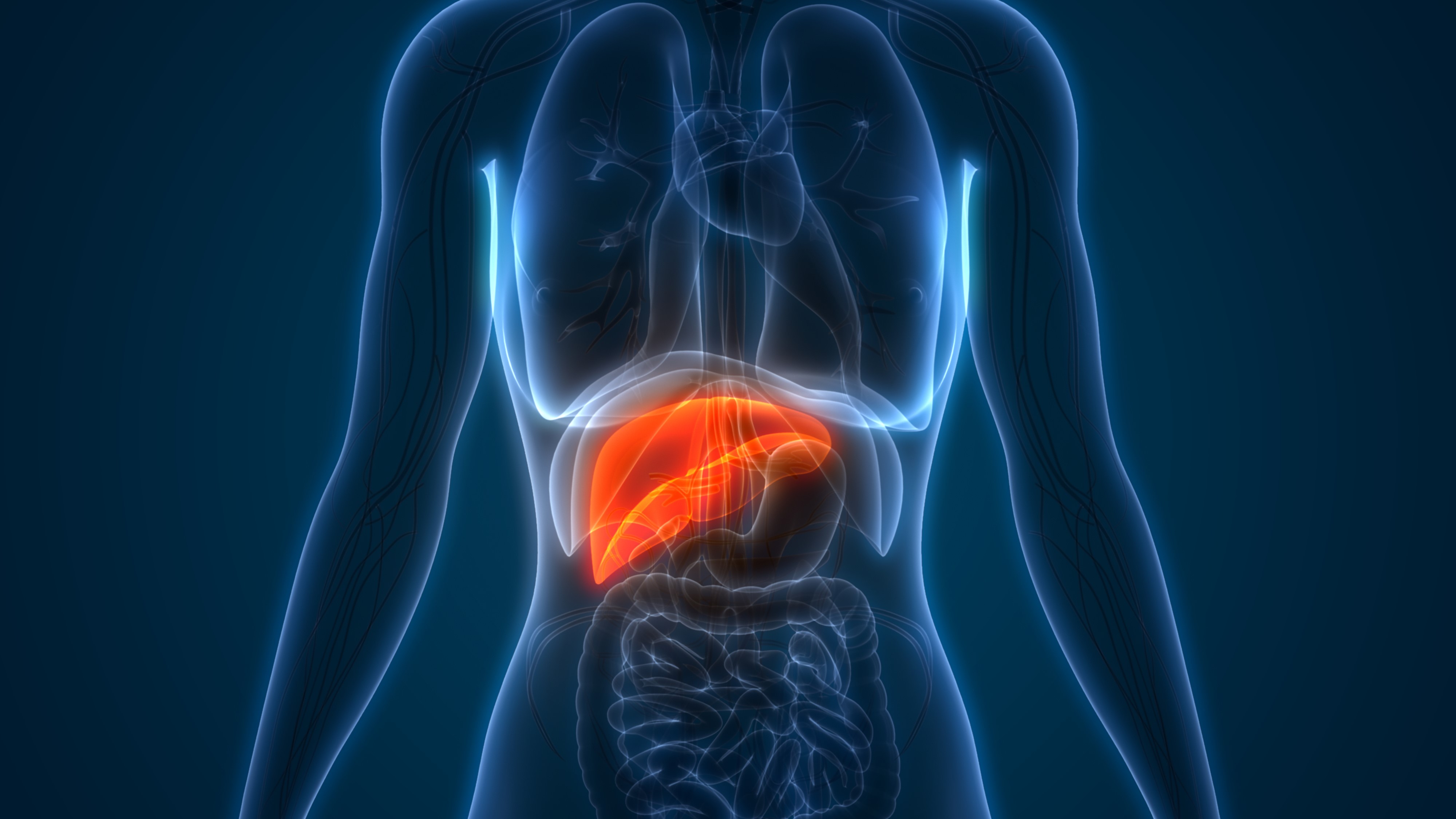 Cáncer de hígado avanzado: nivolumab más ipilimumab cumplen con el objetivo primario de SG, estudio CheckMate-9DW