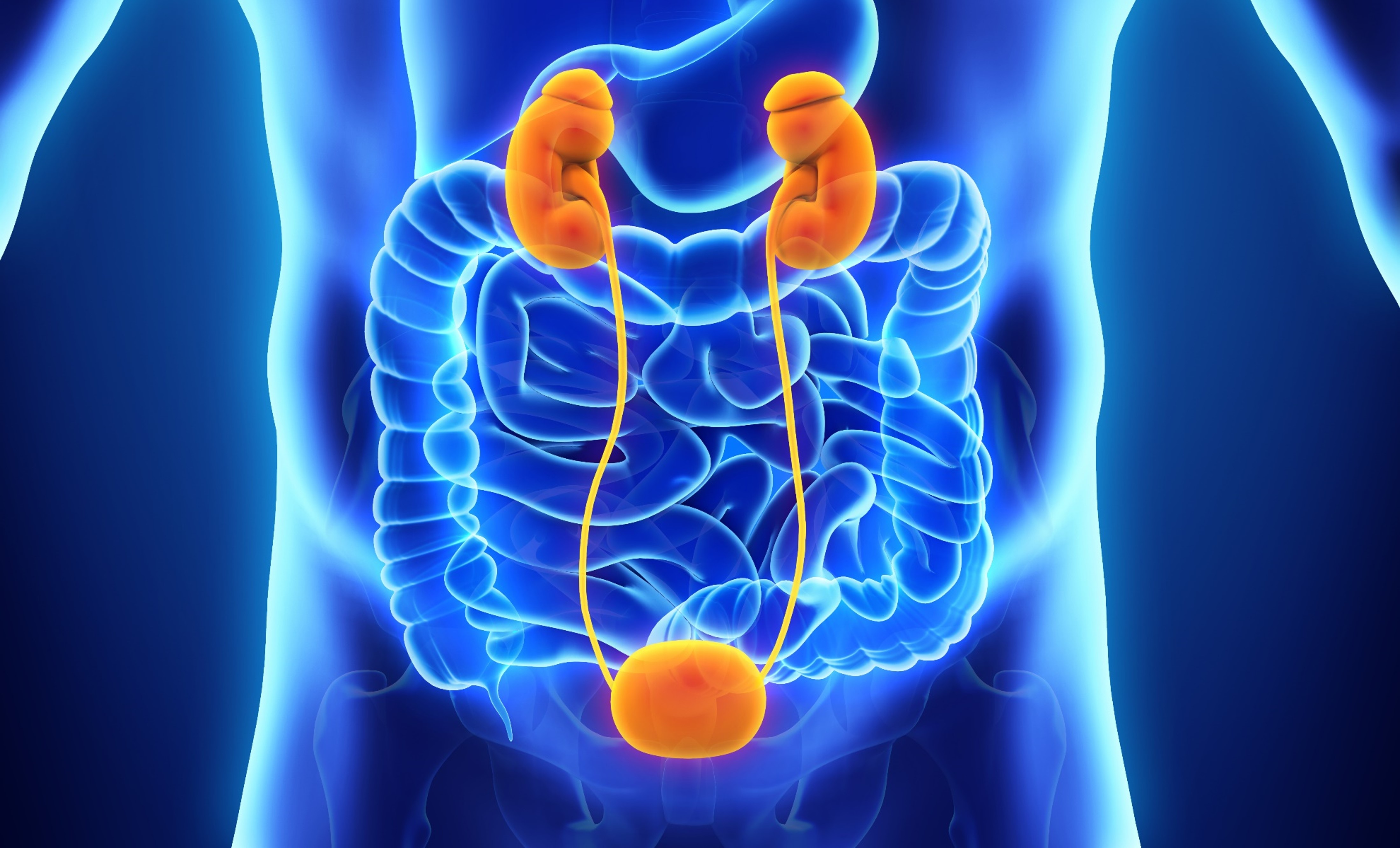 Carcinoma urotelial metastásico o localmente avanzado: Adicionar atezolizumab al tratamiento con QT no brinda beneficios en SG, estudio IMvigor130