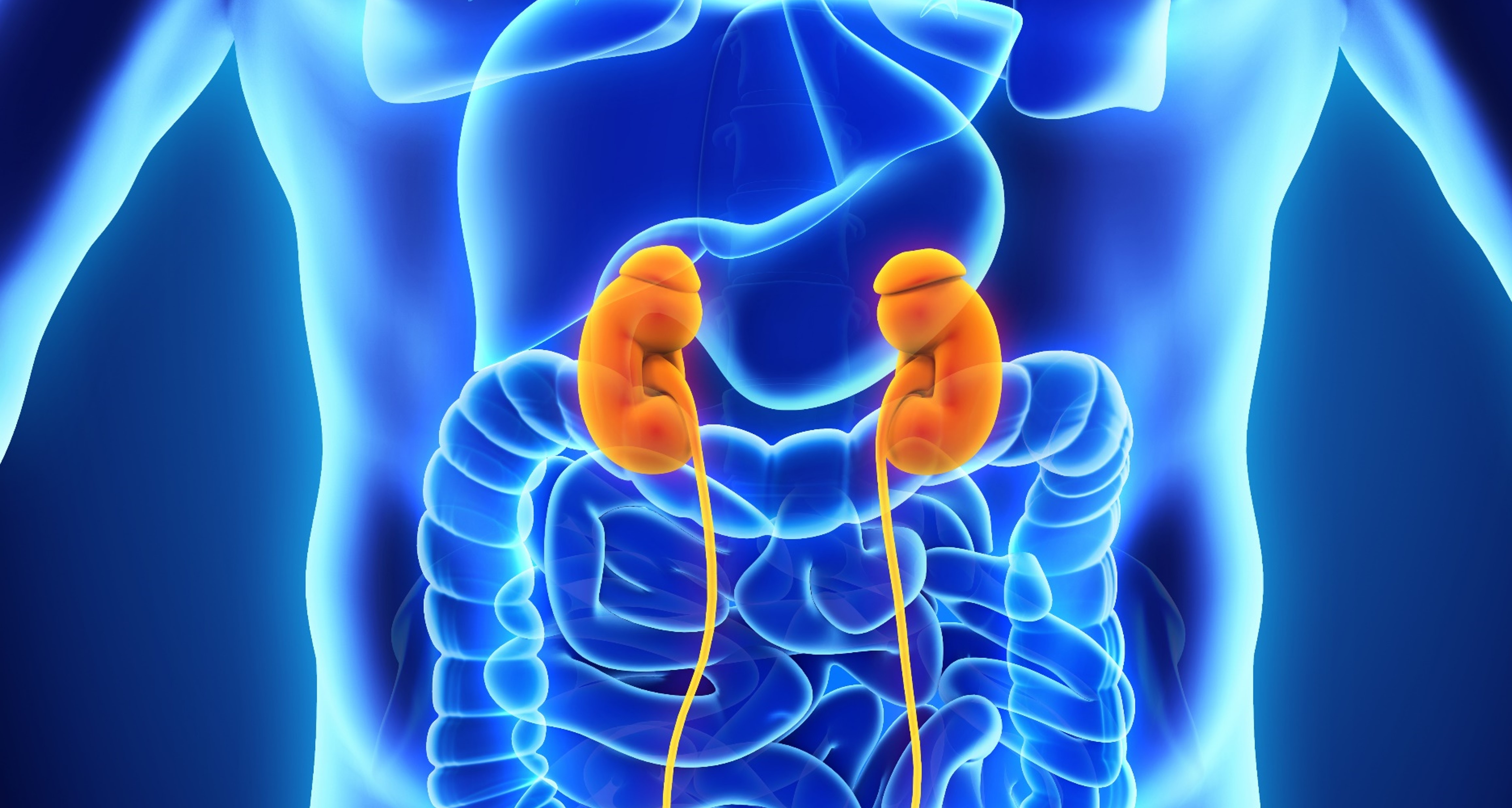 Ca. renal avanzado: Actualización del estudio CONTACT-03 con cabozantinib + atezolizumab