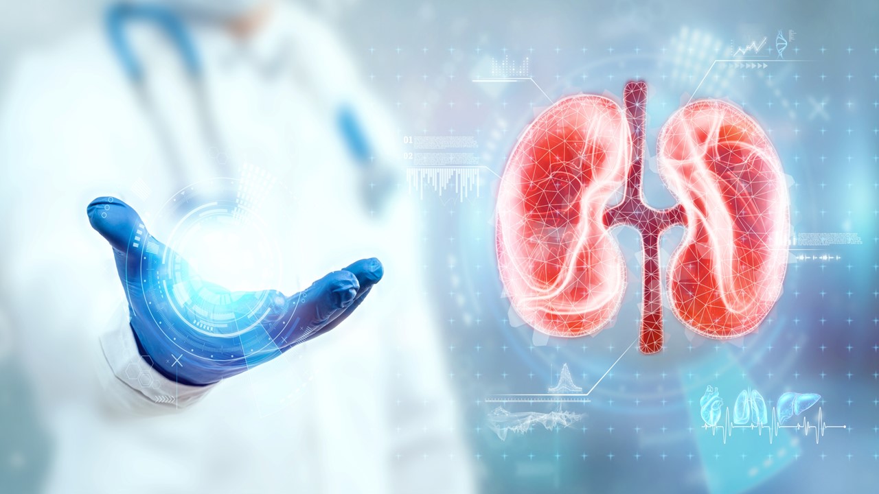 CCR avanzado: Resultados favorables a largo plazo en SG con pembrolizumab + lenvatinib vs. sunitinib