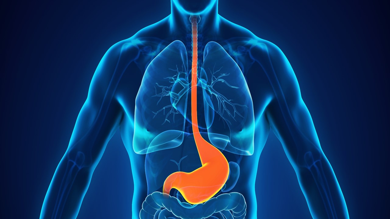 Adenocarcinoma gástrico y de la unión gastroesofágica localmente avanzado y resecable: Pembrolizumab + QT muestran mejoras significativas, estudio KEYNOTE-585