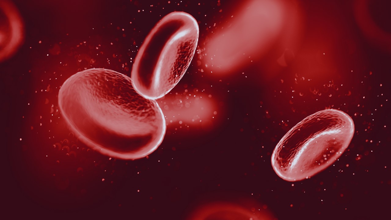 SMD: resultados positivos logran la aprobación de la FDA para luspatercept-aamt, estudio COMMANDS