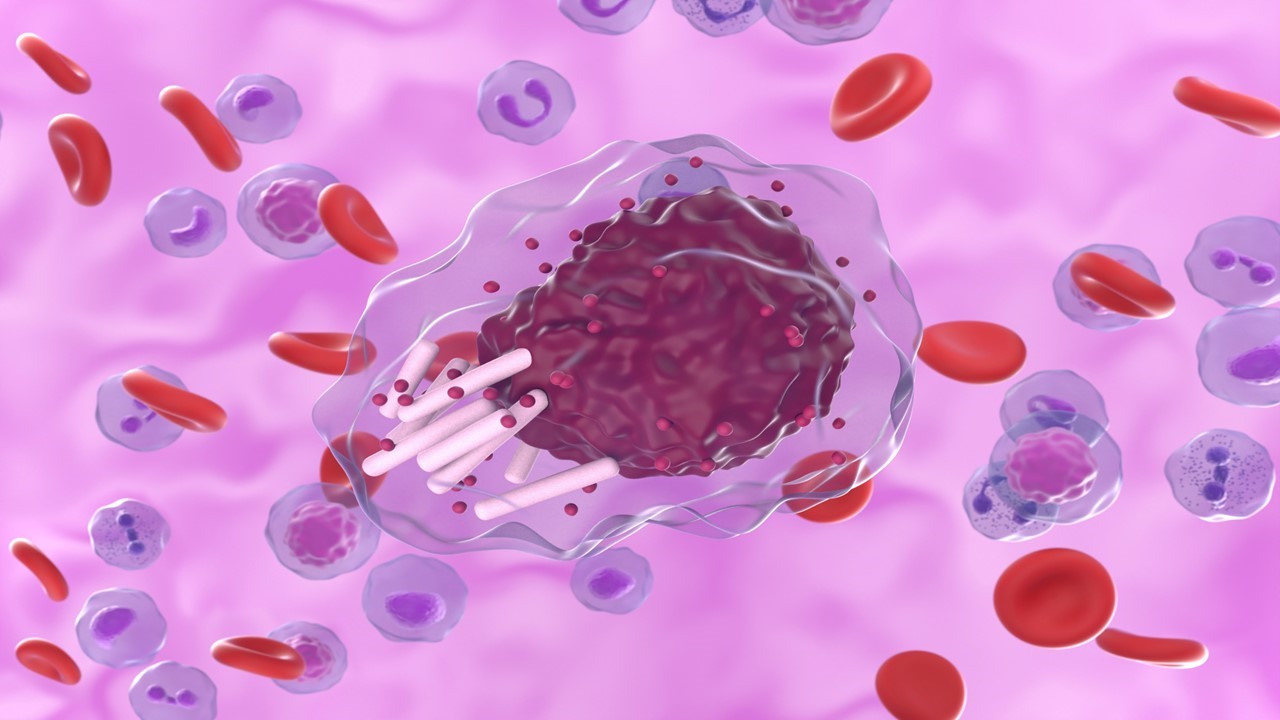 LLC/LLP: Pirtobrutinib demostró resultados favorables en eficacia, estudio BRUIN