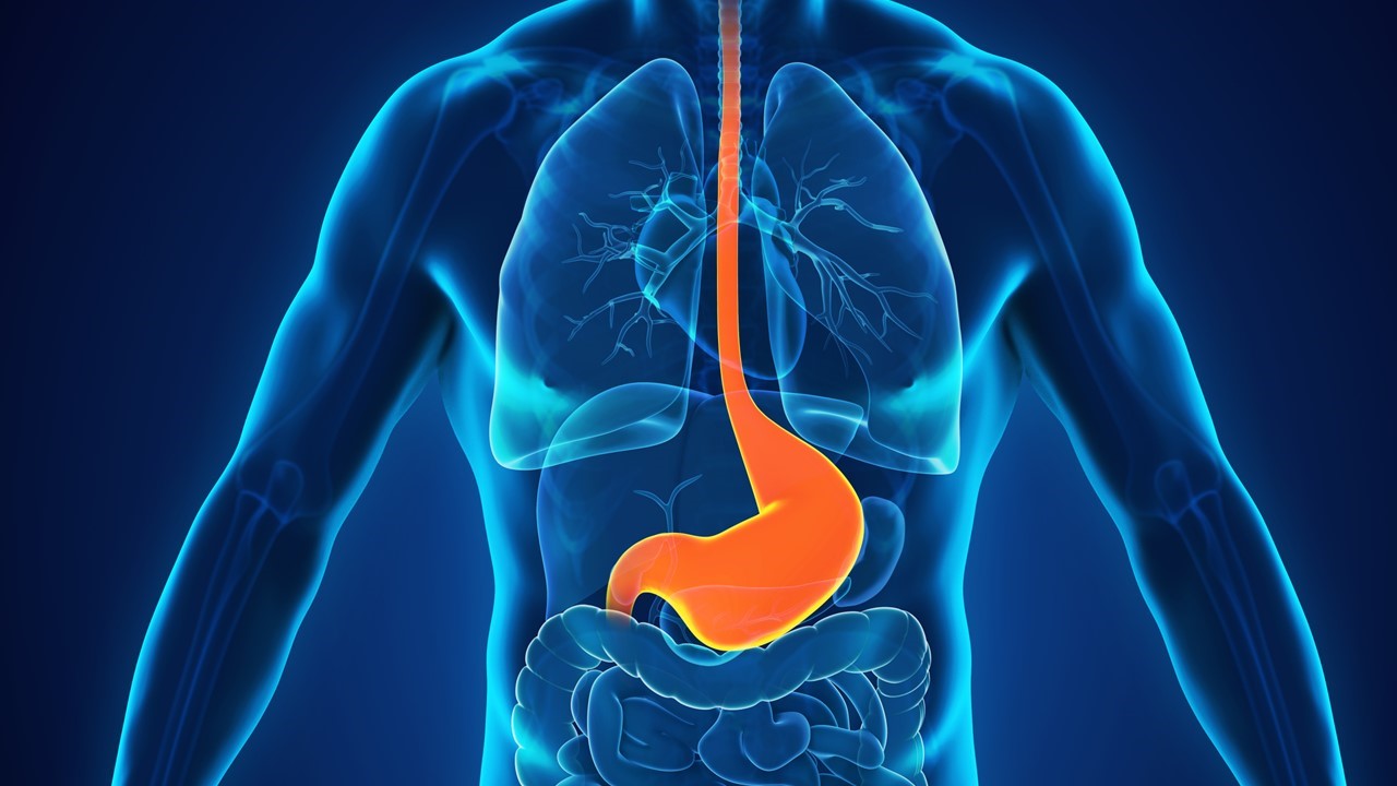HCC: durvalumab + TACE y bevacizumab muestran una mejora clínicamente significativa en SLP, estudio EMERALD-1