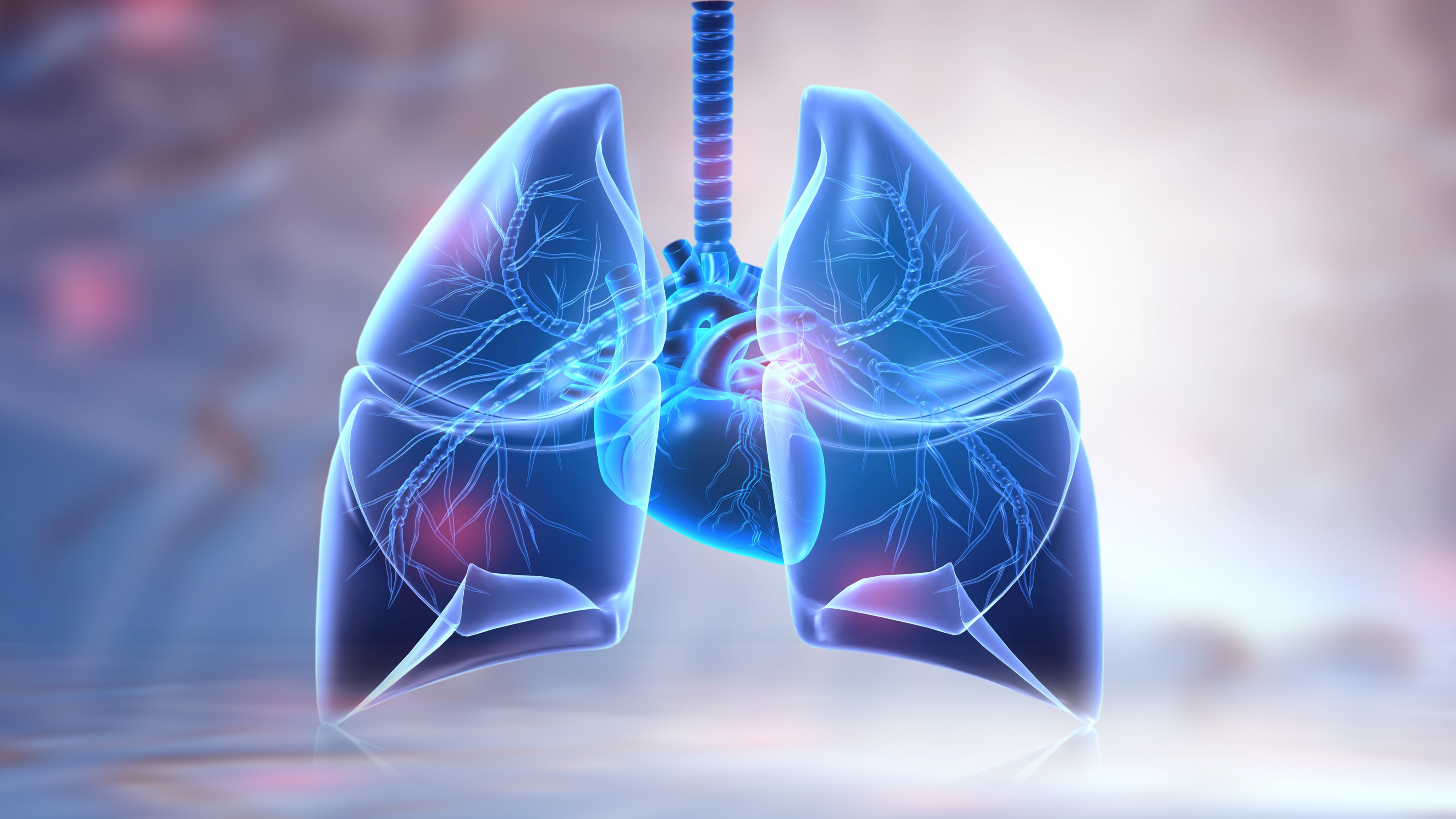 CPCNP escamoso metastásico: se detiene el estudio de pembrolizumab + olaparib por inutilidad, KEYLYNK-008