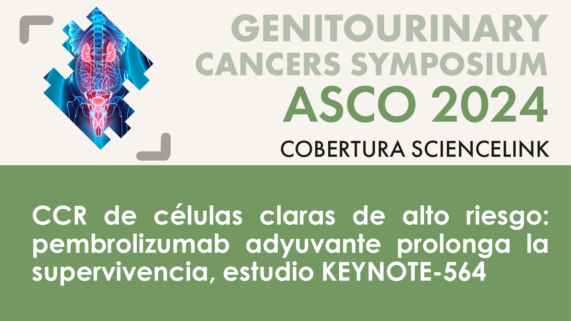 CCR de células claras de alto riesgo: pembrolizumab adyuvante prolonga la supervivencia, estudio KEYNOTE-564