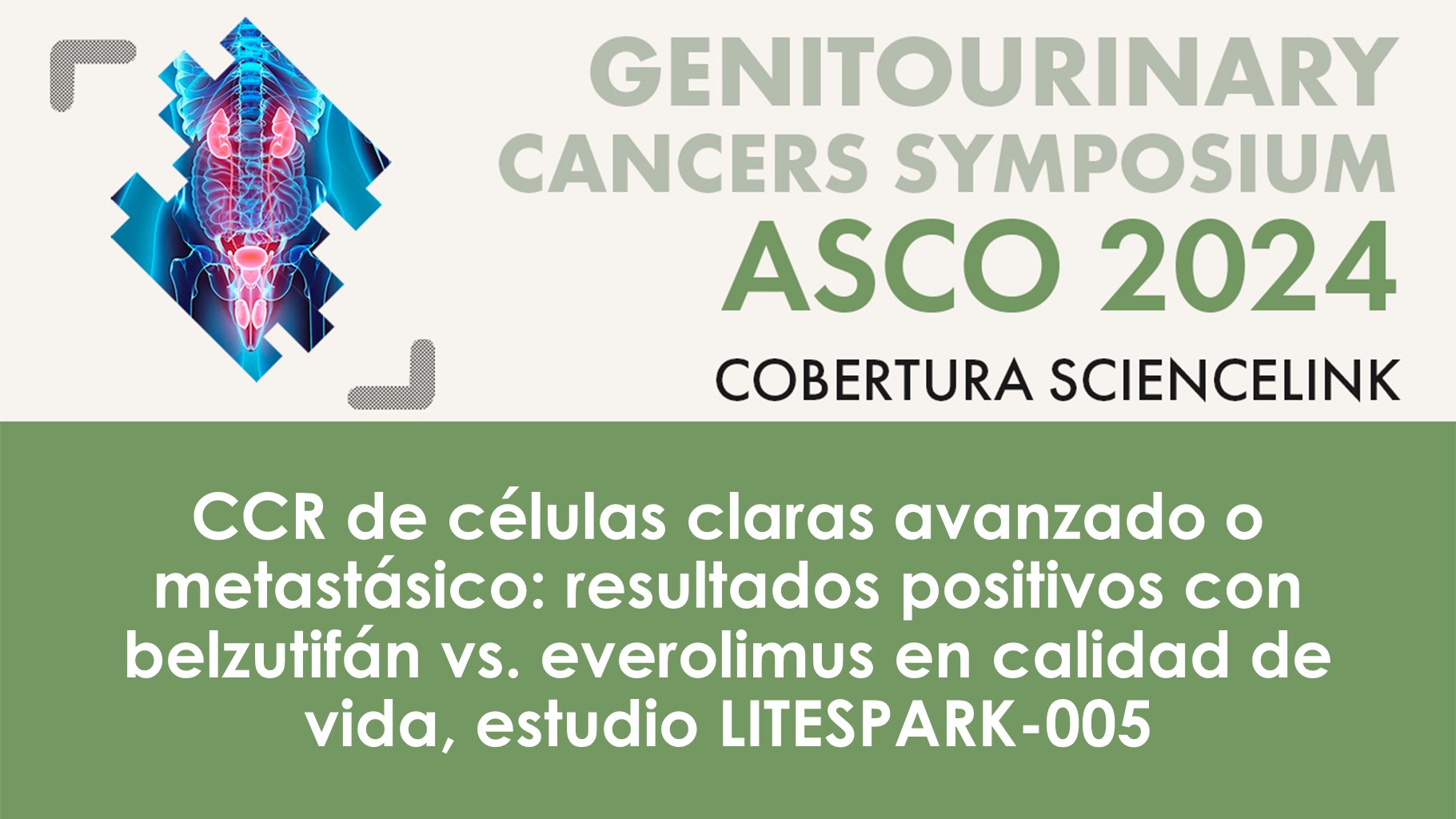 CCR de células claras avanzado o metastásico: resultados positivos con belzutifán vs. everolimus en calidad de vida, estudio LITESPARK-005