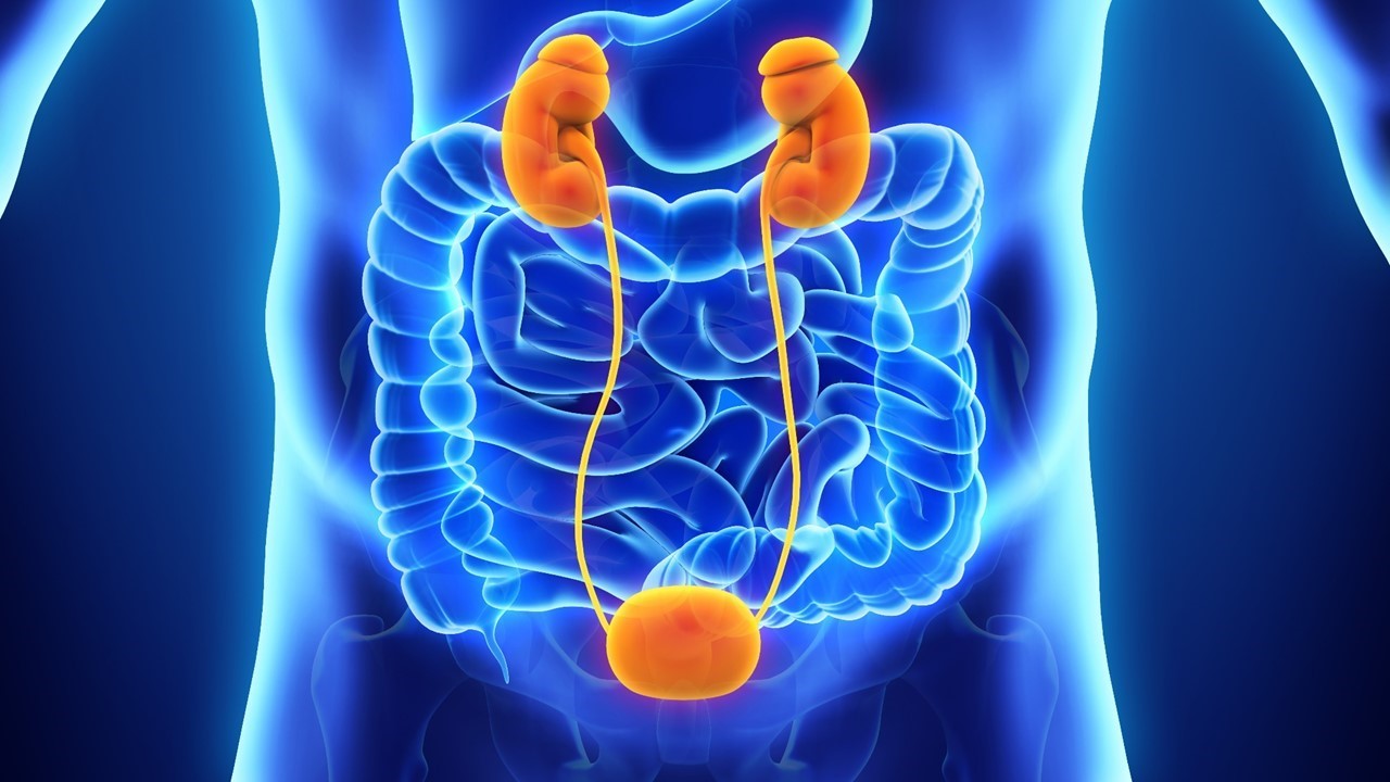 Carcinoma urotelial metastásico con FGFR3: la FDA aprueba erdafitinib, estudio THOR