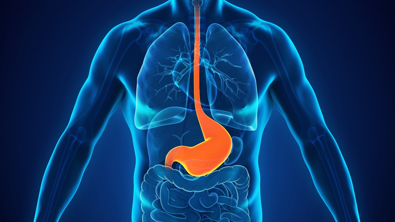 Adenocarcinoma gástrico o de la unión gastroesofágica avanzado: mejora significativa en la SLP, estudio FRUTIGA