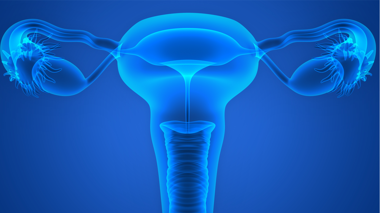 Tumores ginecológicos: FDA aprueba mirvetuximab soravtansine en pacientes resistentes al platino
