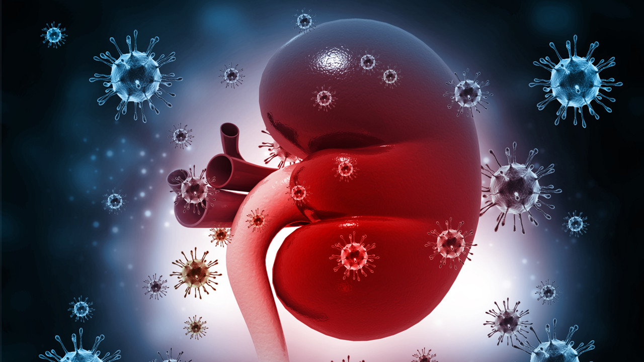 CCRcc: pembrolizumab adyuvante demostró una mejora clínicamente significativa en la SG, estudio KEYNOTE-564