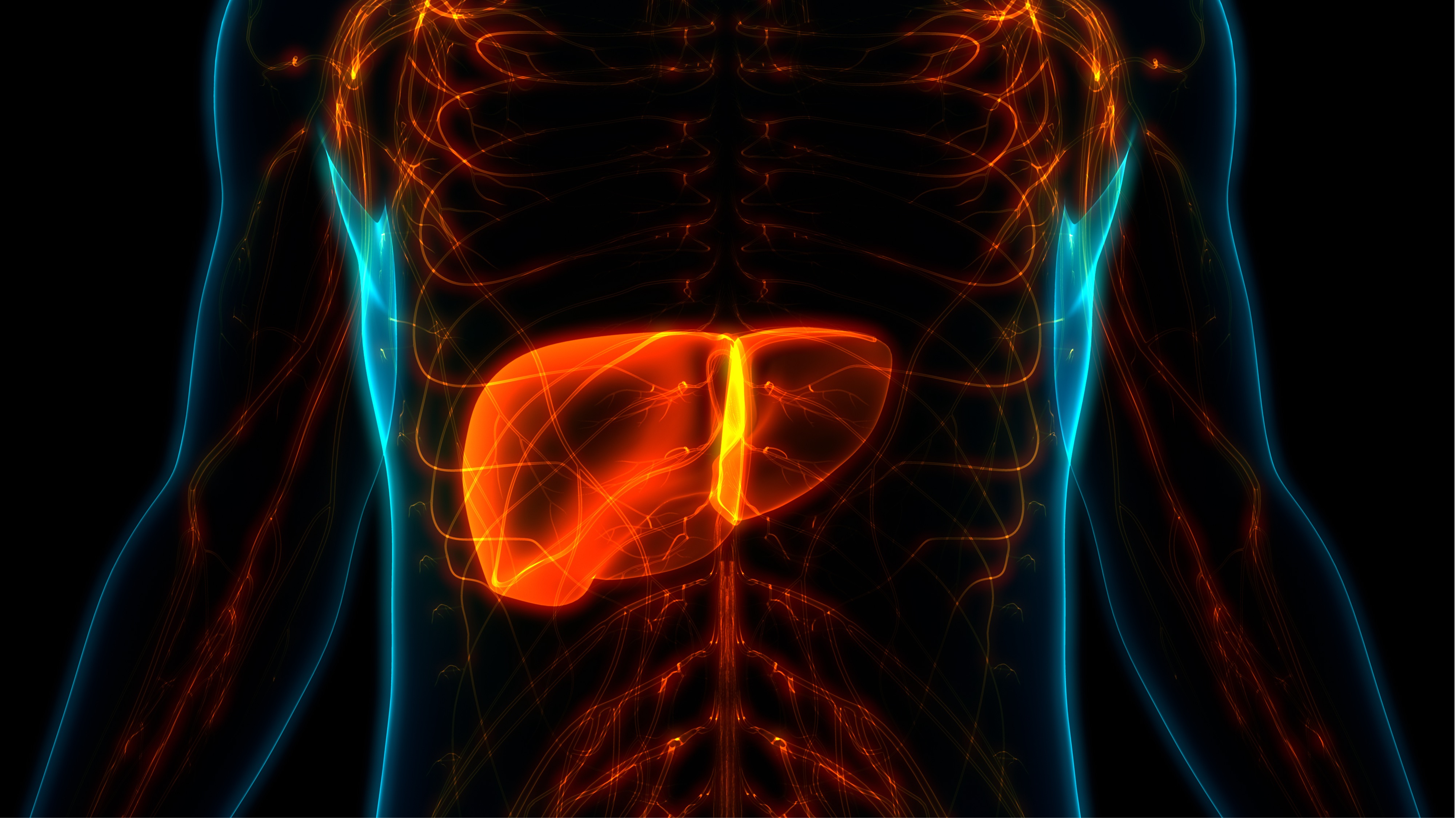 Carcinoma hepatocelular avanzado: nivolumab + ipilimumab logran beneficio de supervivencia a largo plazo, estudio CheckMate 040
