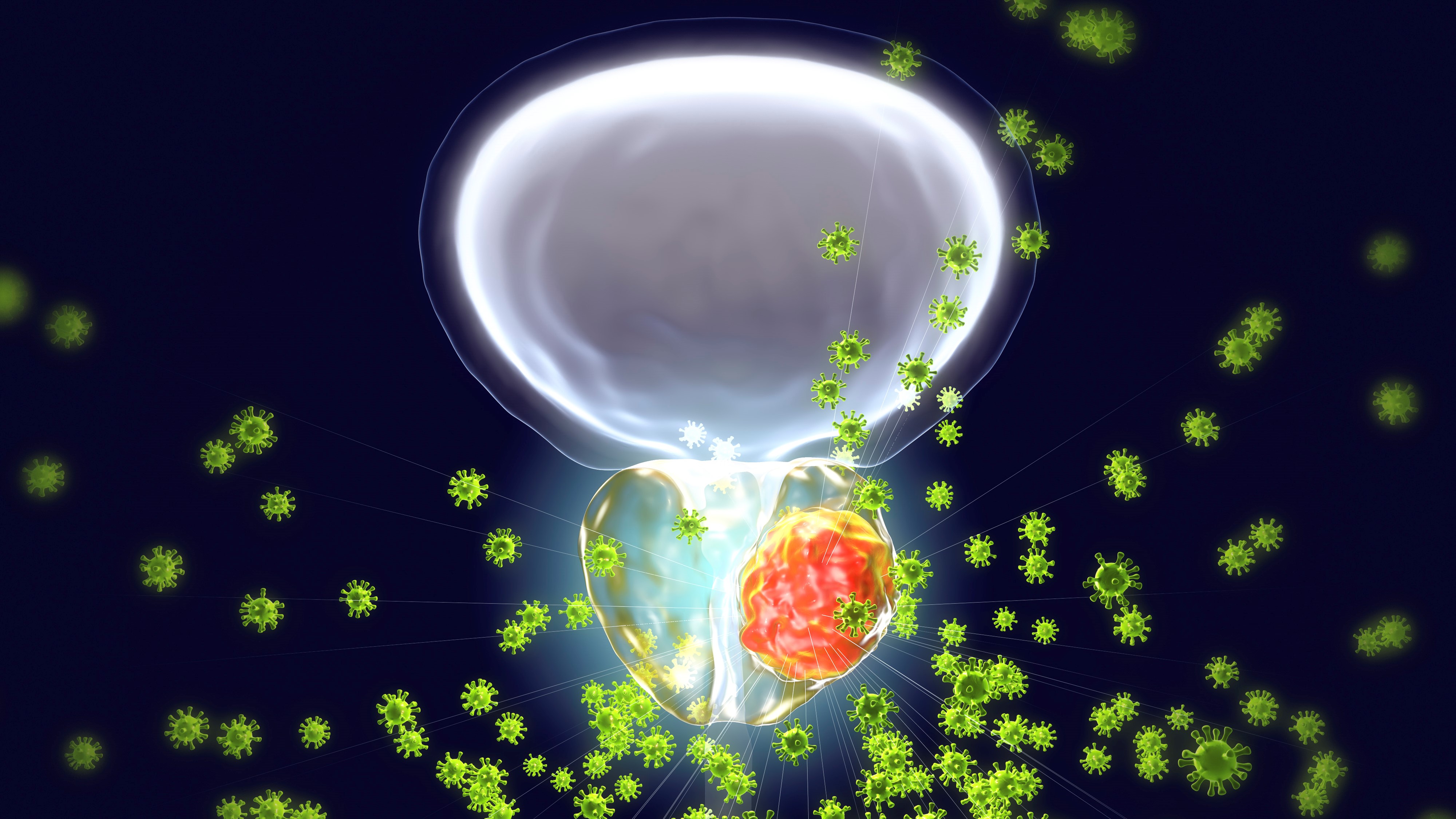 COFEPRIS aprueba enzalutamida para el tratamiento del cáncer de próstata metastásico sensible a hormonas