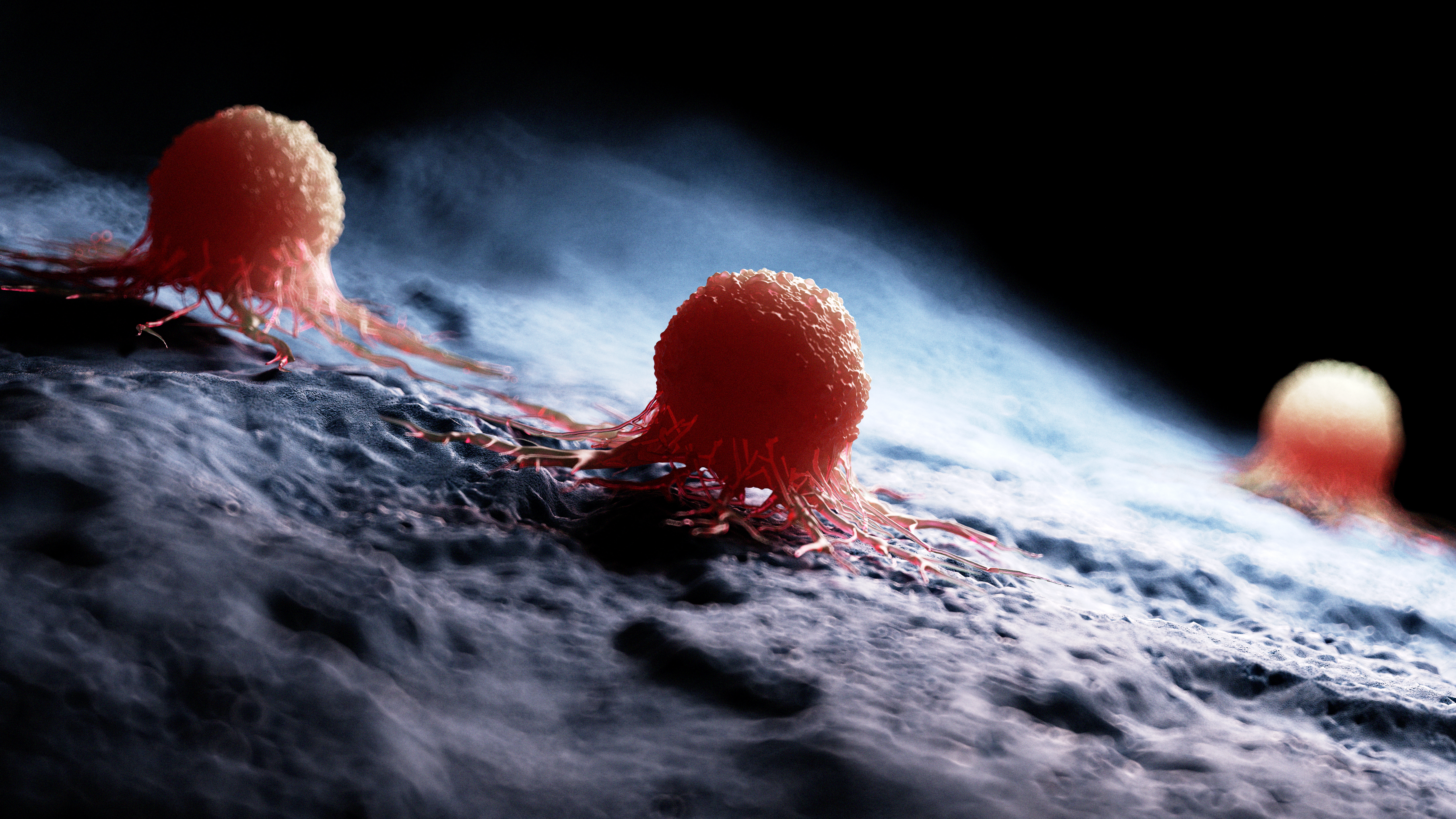 Carcinoma neuroendocrino: FDA otorga designación de medicamento huérfano a PT217