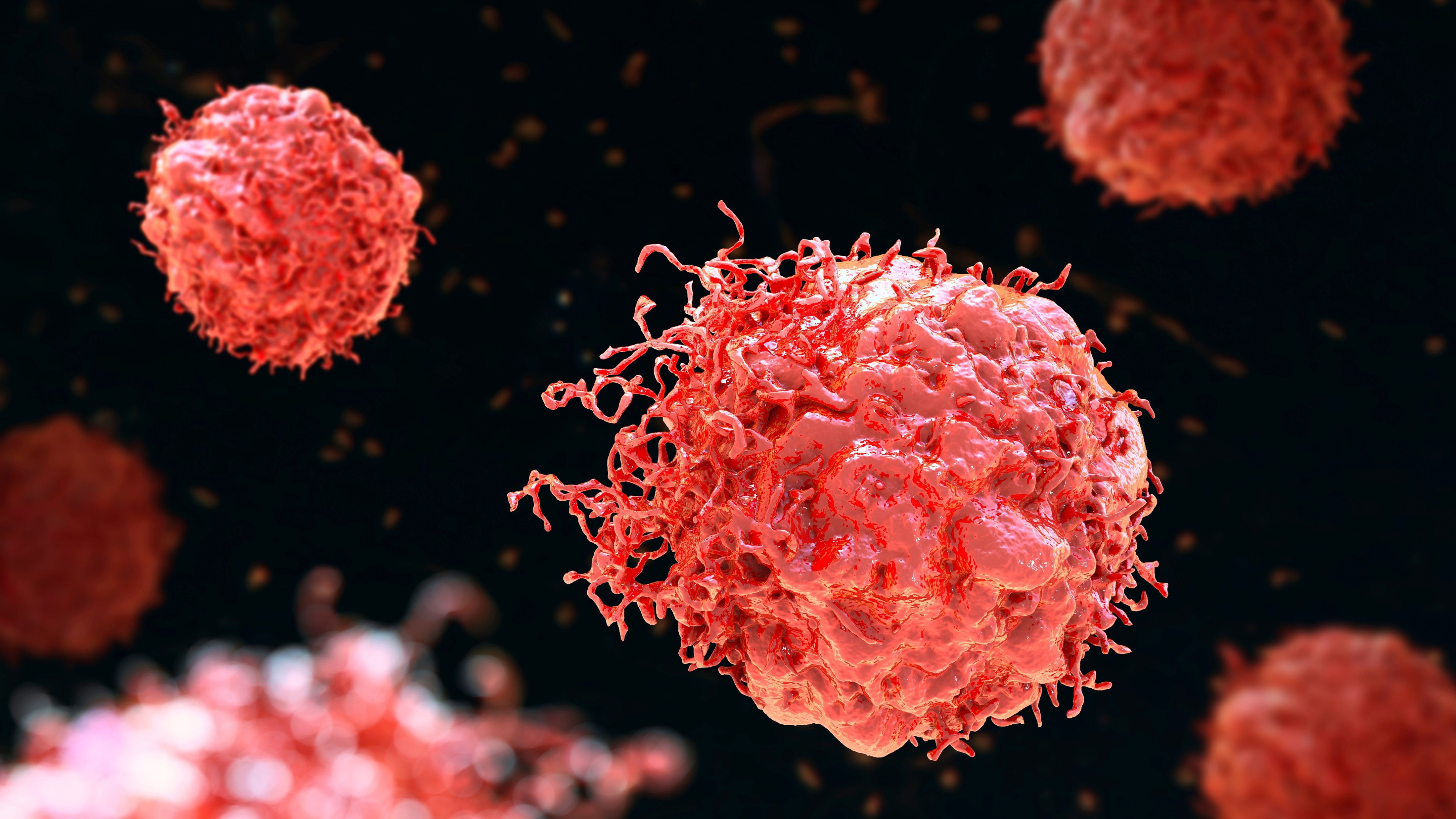 Tumores sólidos: la FDA ha aprobado un nuevo test de biomarcadores para el cáncer