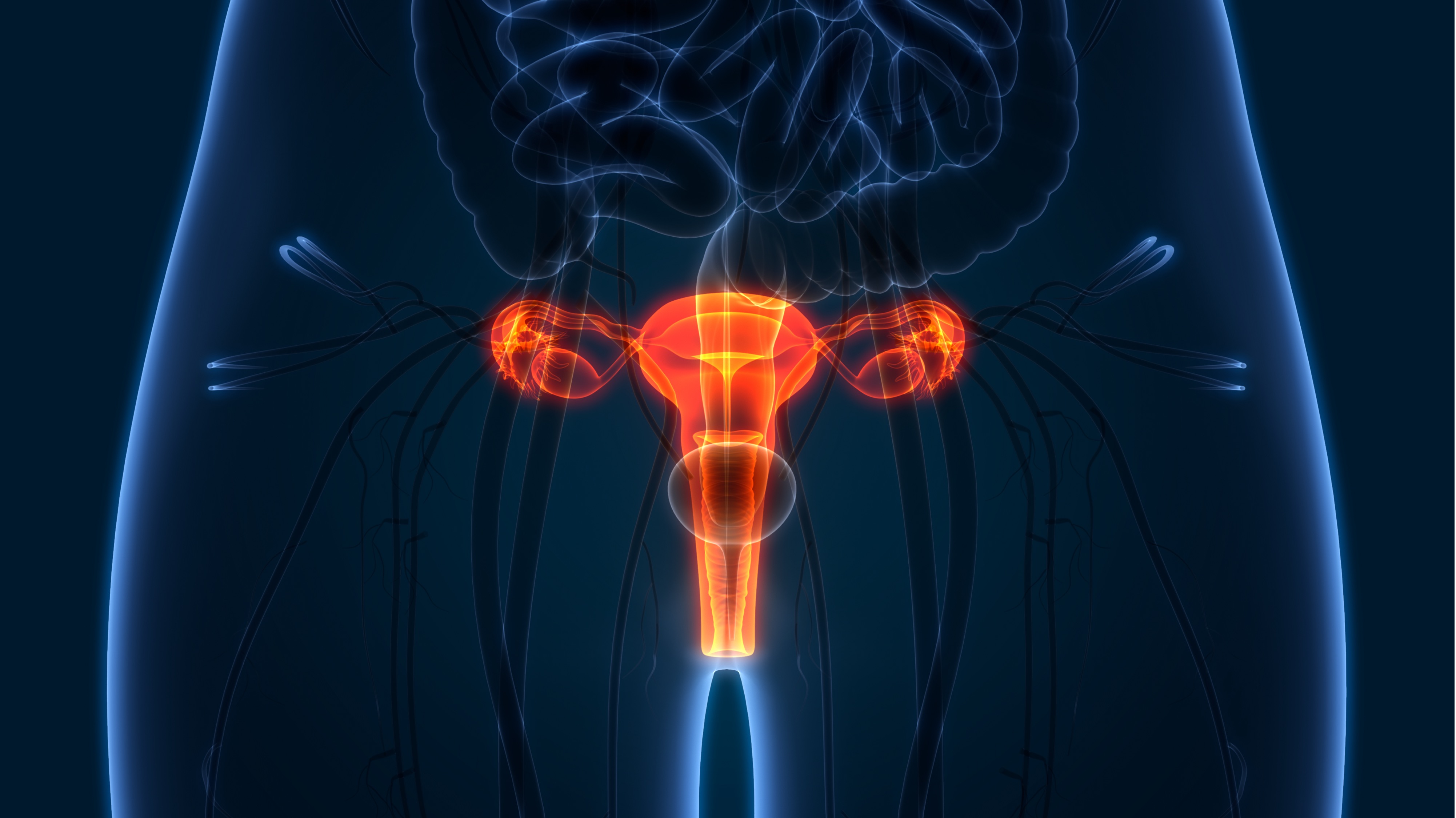 Cánceres femeninos deficientes en ARID1a: FDA otorga designación de medicamento huérfano para NXP800