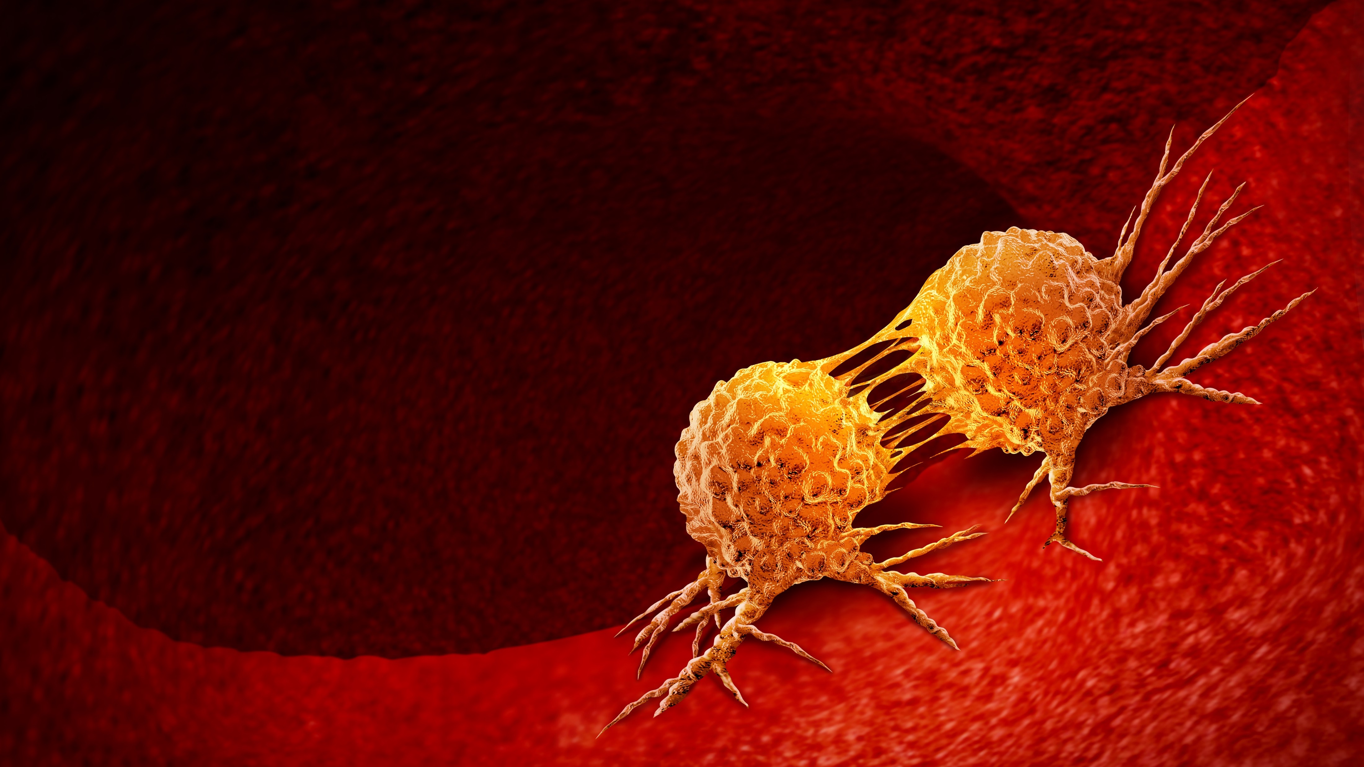 Cáncer de pulmón y cáncer cutáneo avanzado: MSD suspende estudios fase III con pembrolizumab