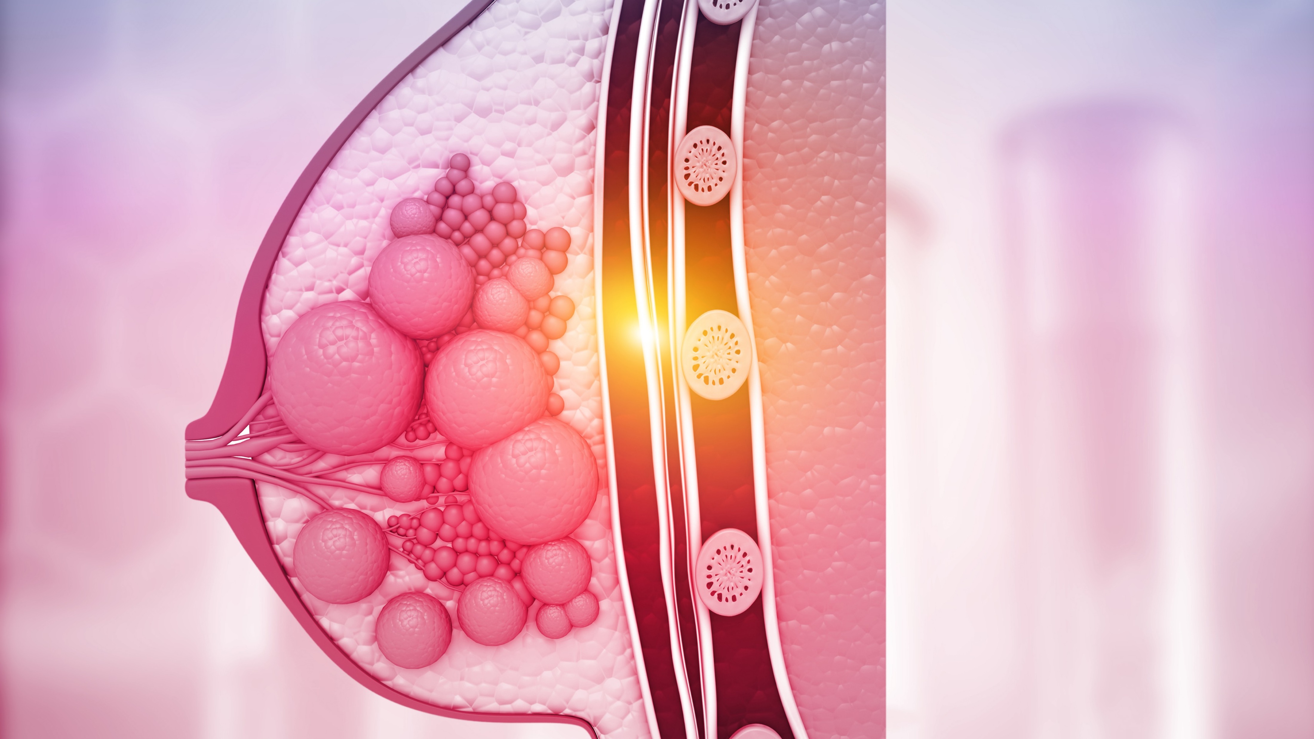 Cá. de mama HER2-positivo: se obtienen resultados positivos del estudio clínico de HLX11, un biosimilar de pertuzumab