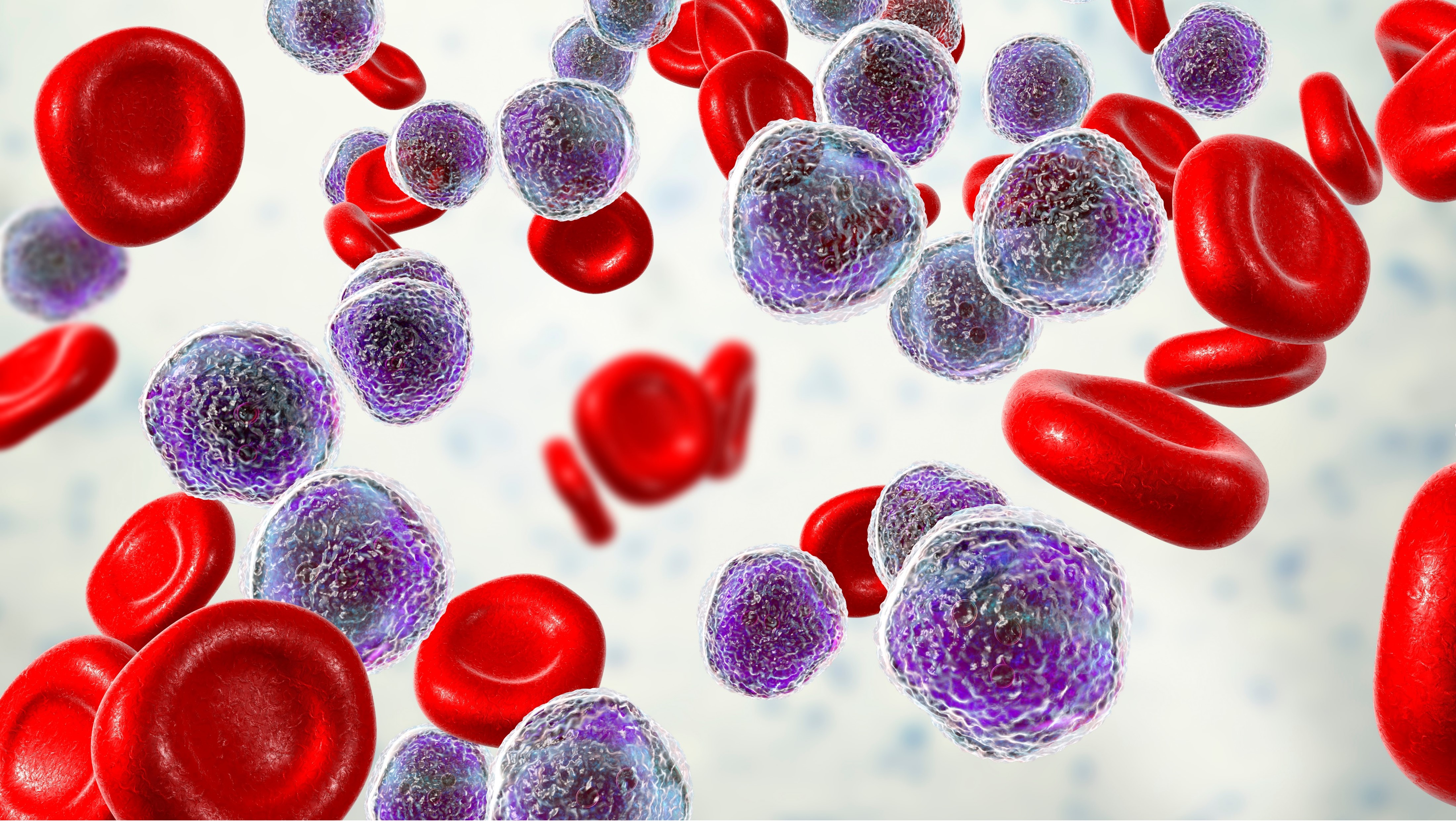 La FDA aprueba revumenib para leucemia aguda R/R con translocación KMT2A, Estudio AUGMENT-101
