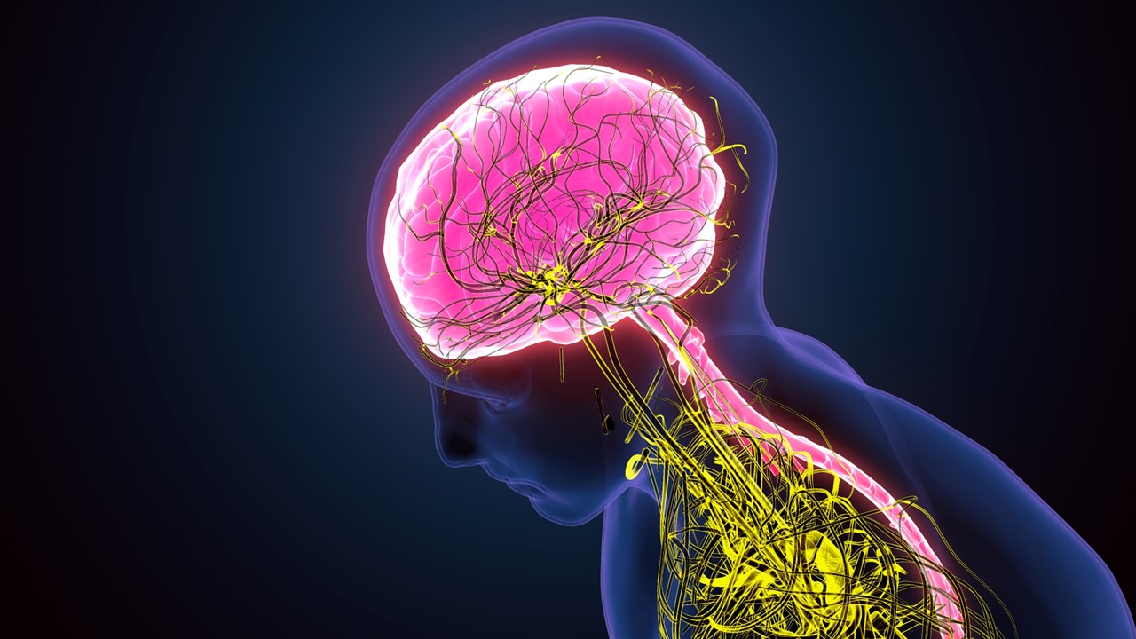 Glioma maligno: FDA otorga designación de medicamento huérfano a MB-108