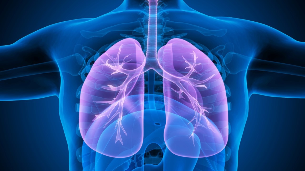 CPCNPm EGFRm: impacto de ramucirumab y erlotinib en la supervivencia, resultados del estudio RELAY