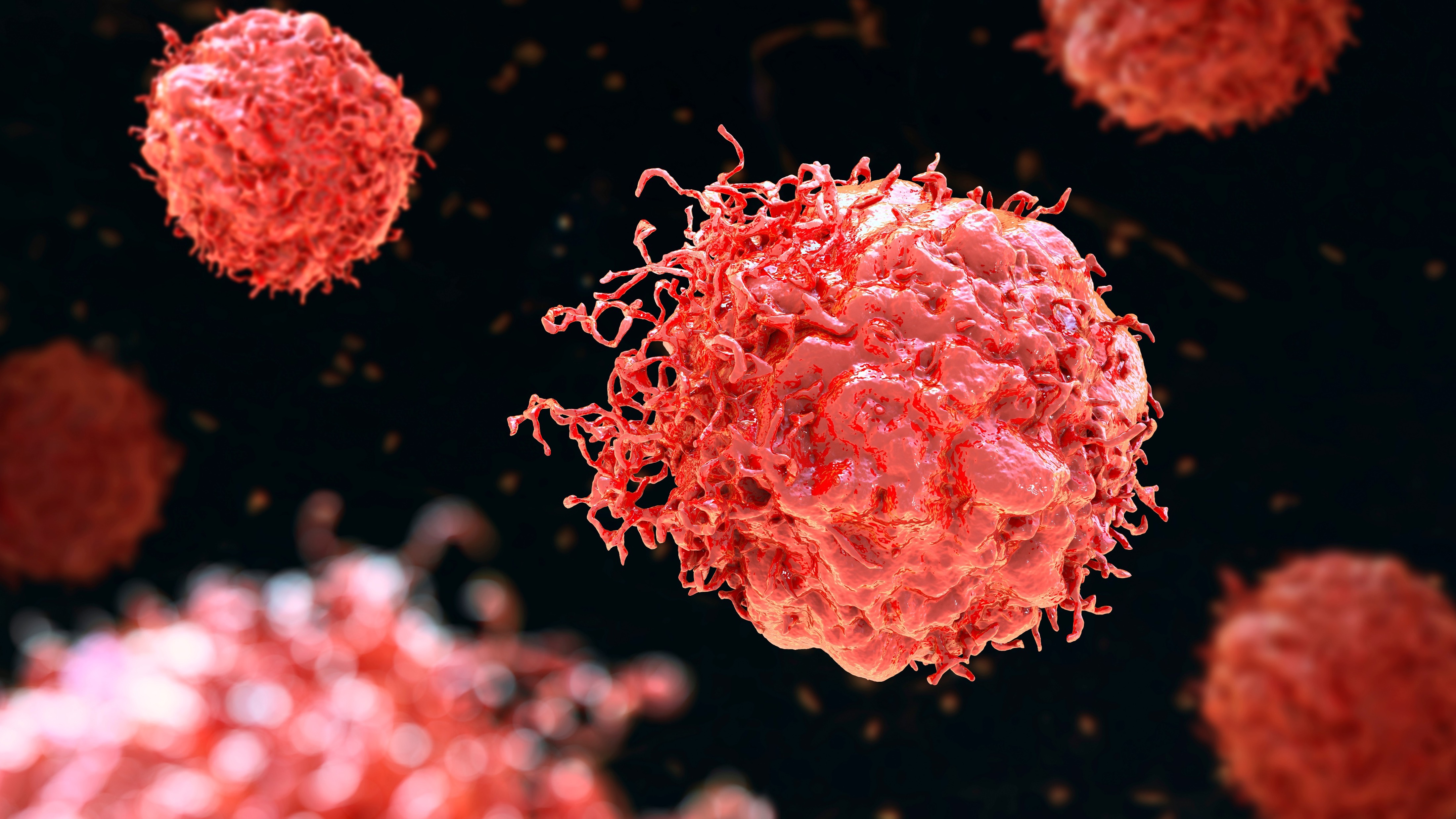 Tumores con fusión del gen NRG1: aprobación acelerada de zenocutuzumab por la FDA