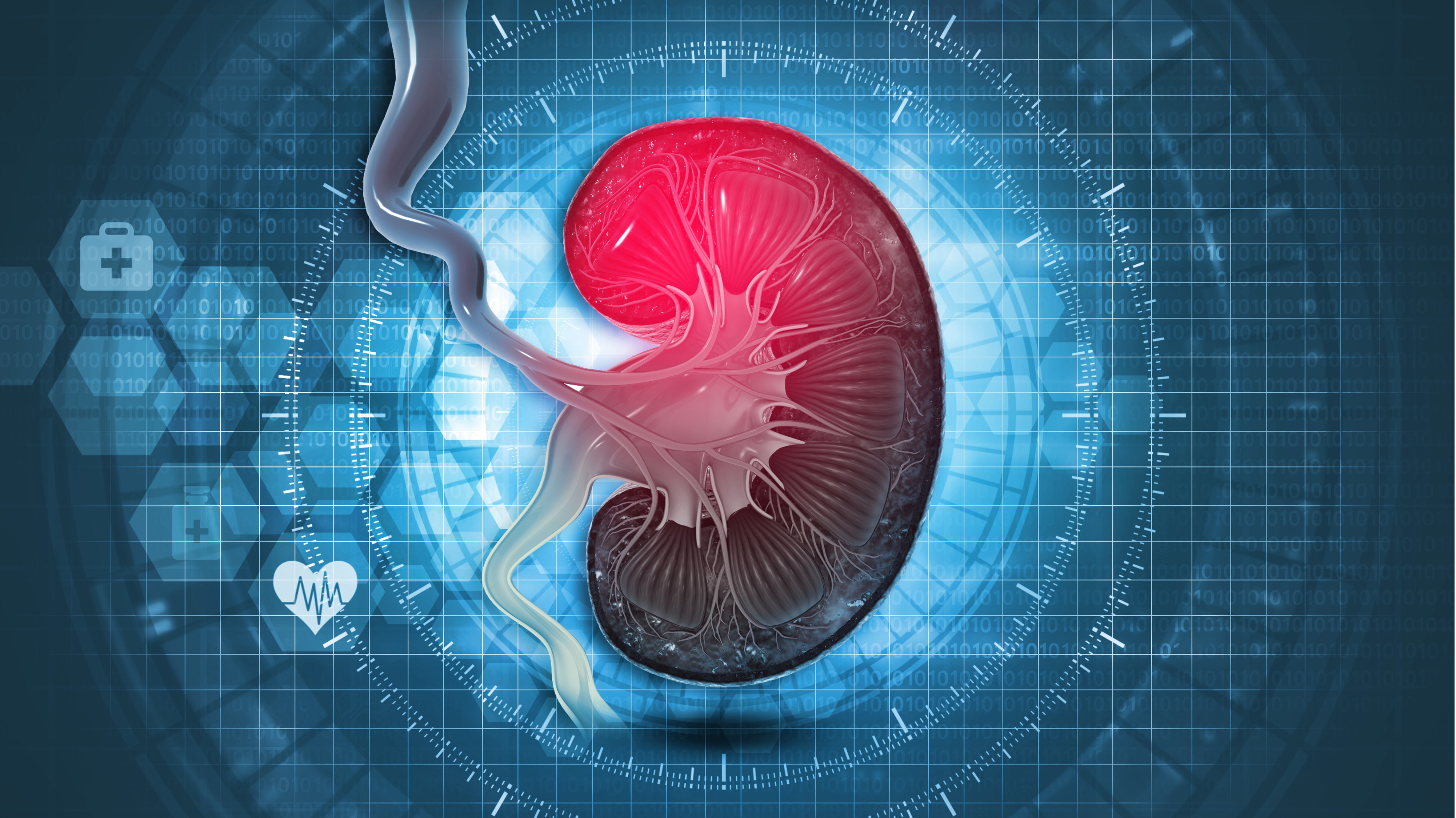 Carcinoma renal avanzado: análisis de biomarcadores de lenvatinib + pembrolizumab vs. sunitinib, estudio CLEAR