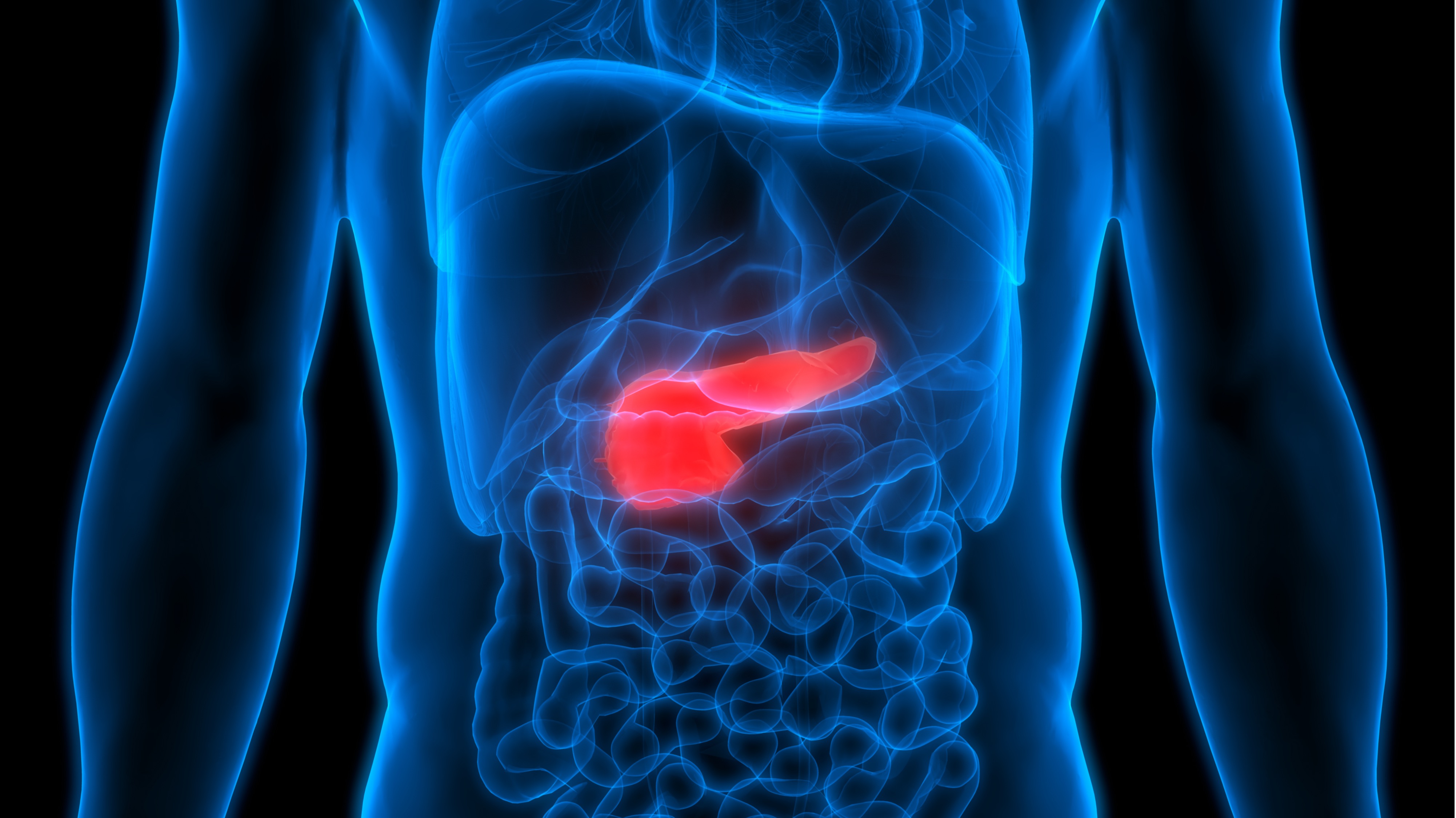 Cáncer de páncreas: PEP-010 recibe la designación de medicamento huérfano por la FDA