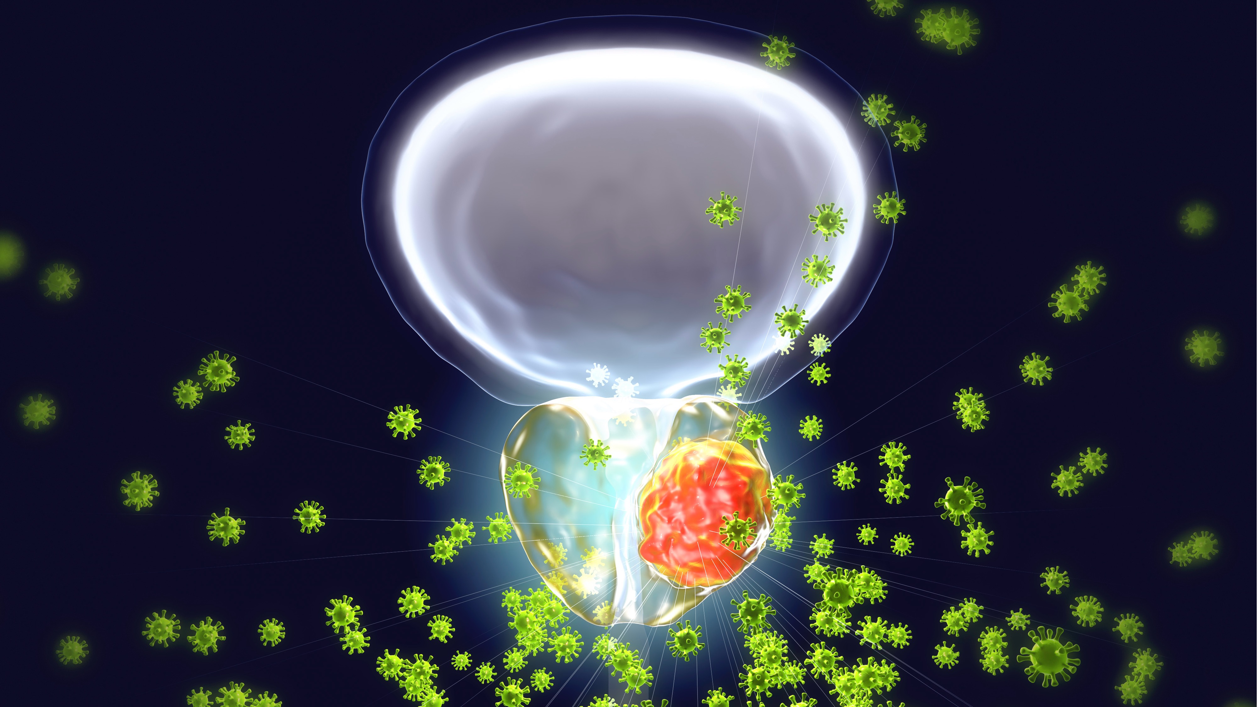 CPRCm deficiente en HRR: talazoparib más enzalutamida mejoran la calidad de vida, estudio TALAPRO-2