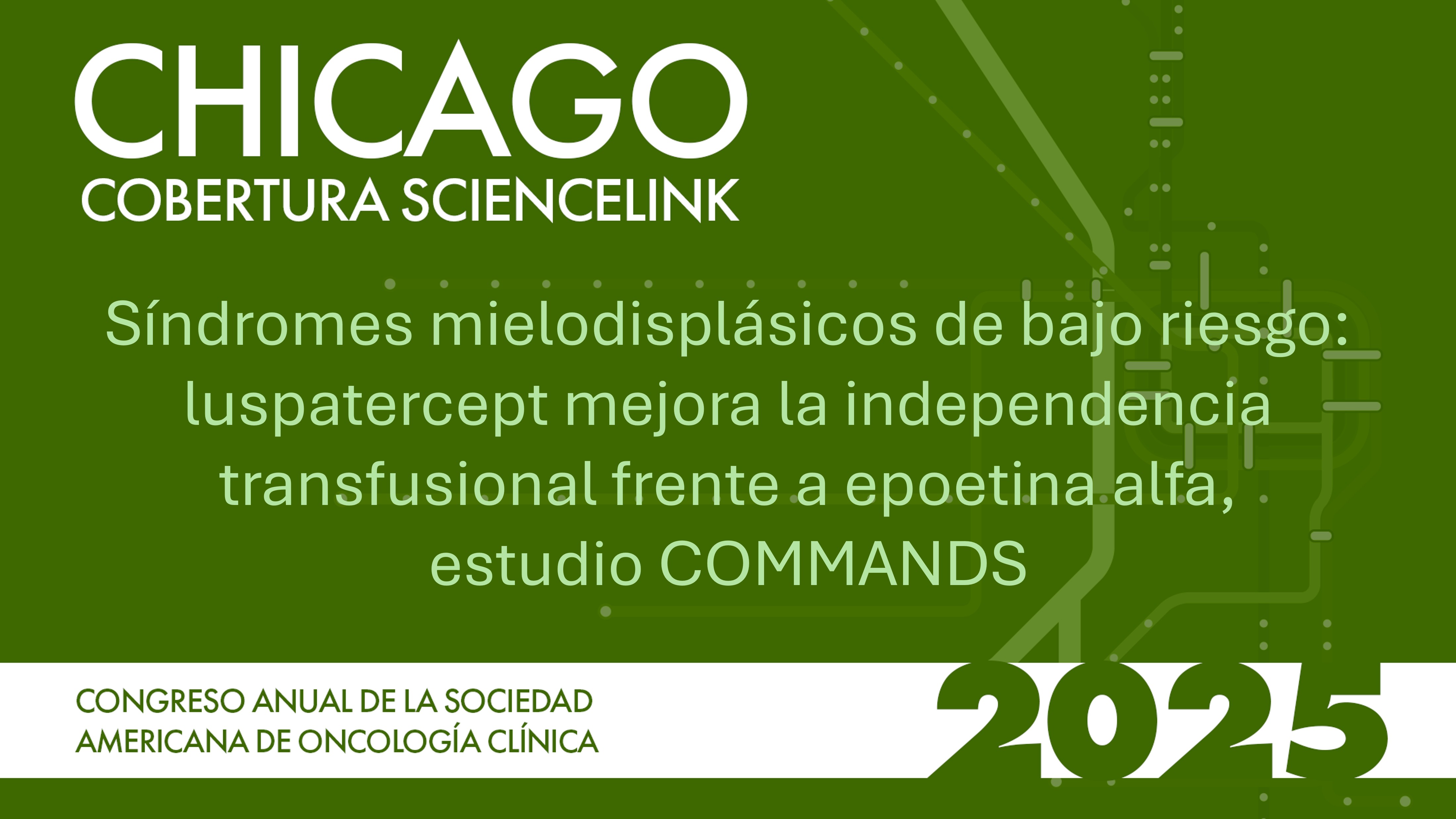 Síndromes mielodisplásicos de bajo riesgo: luspatercept mejora la independencia transfusional frente a epoetina alfa, estudio COMMANDS