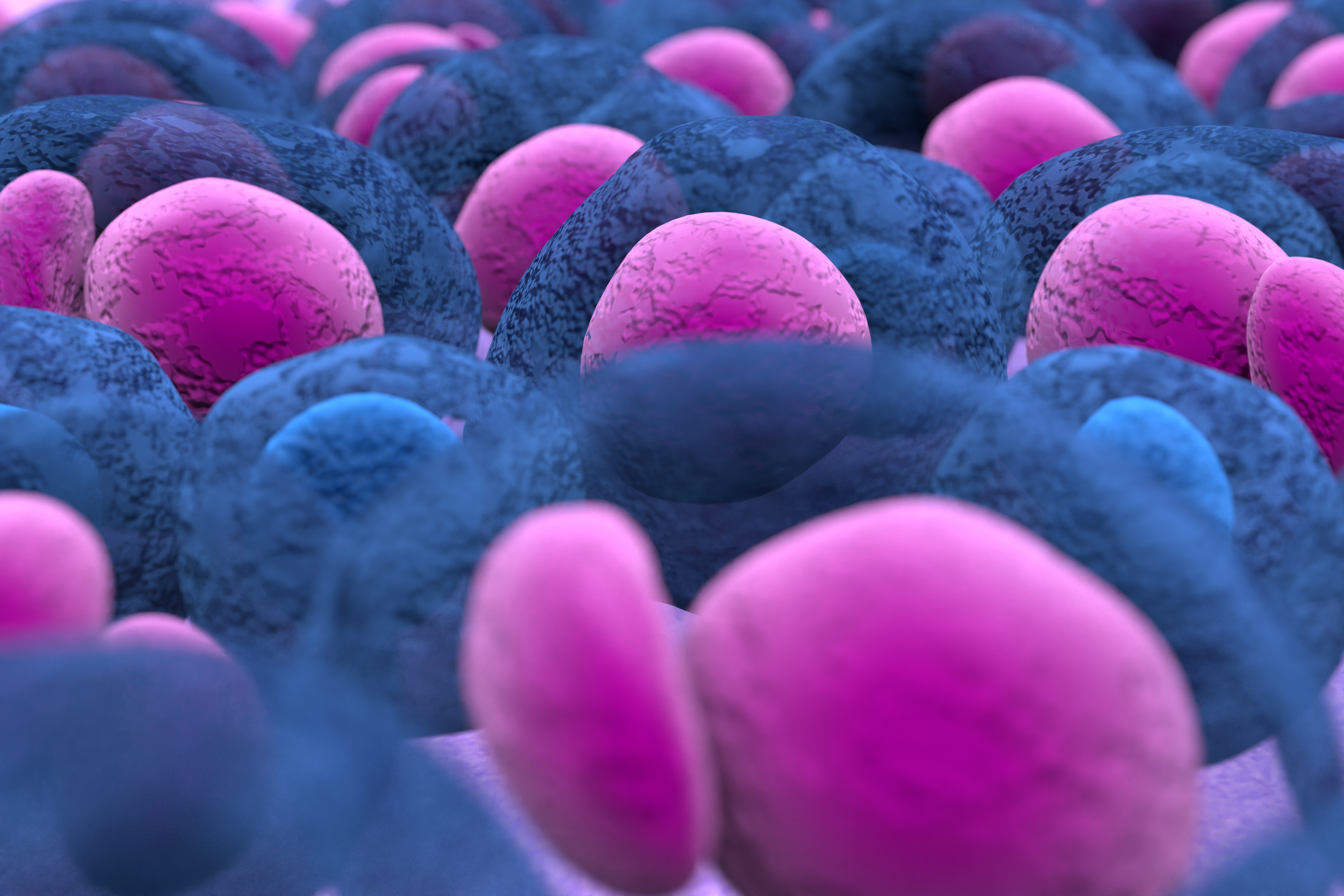 Mieloma múltiple: daratumumab más VMP muestran un beneficio significativo en  SG en pacientes no elegibles para trasplante, resultados a largo plazo del estudio ALCYONE