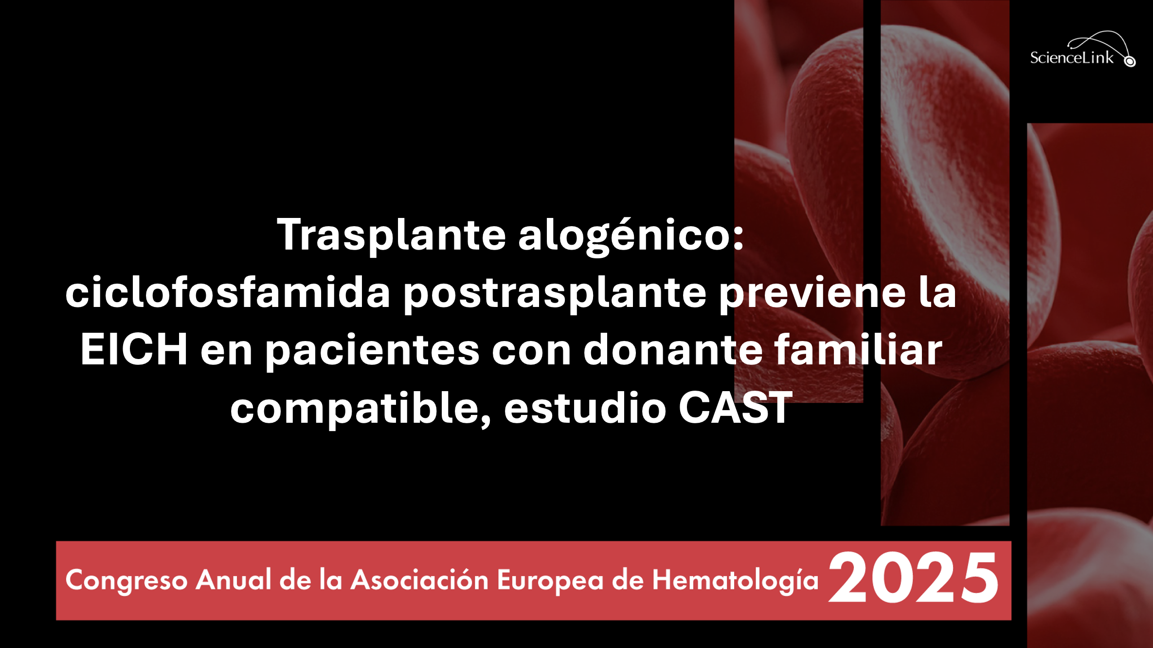 Trasplante alogénico: ciclofosfamida postrasplante previene la EICH en pacientes con donante familiar compatible, estudio CAST