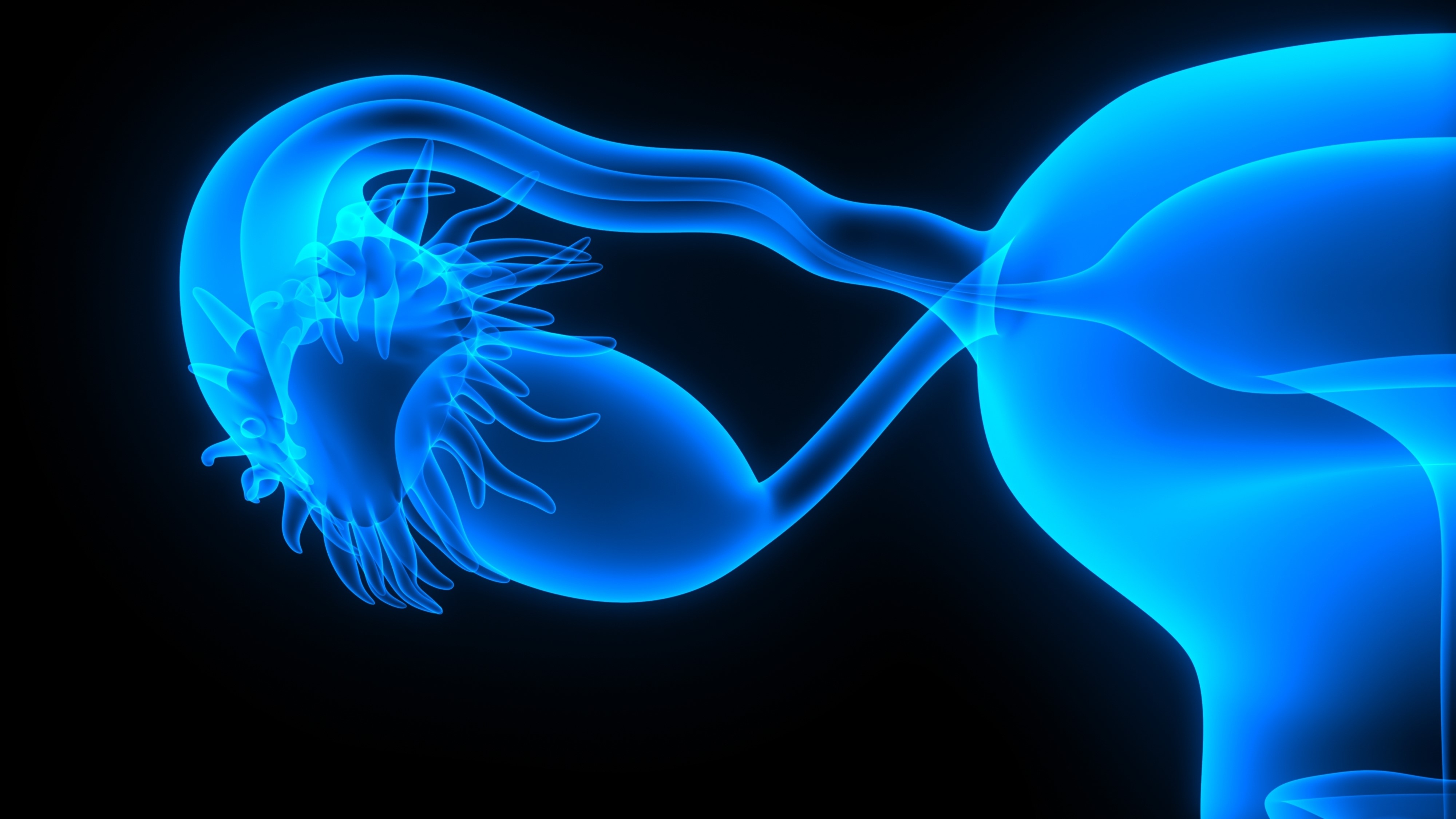 Cáncer de ovario seroso de alto grado: la expresión de PD-L1 se asocia con el estado HRD y mejor supervivencia global, según el estudio PAOLA-1