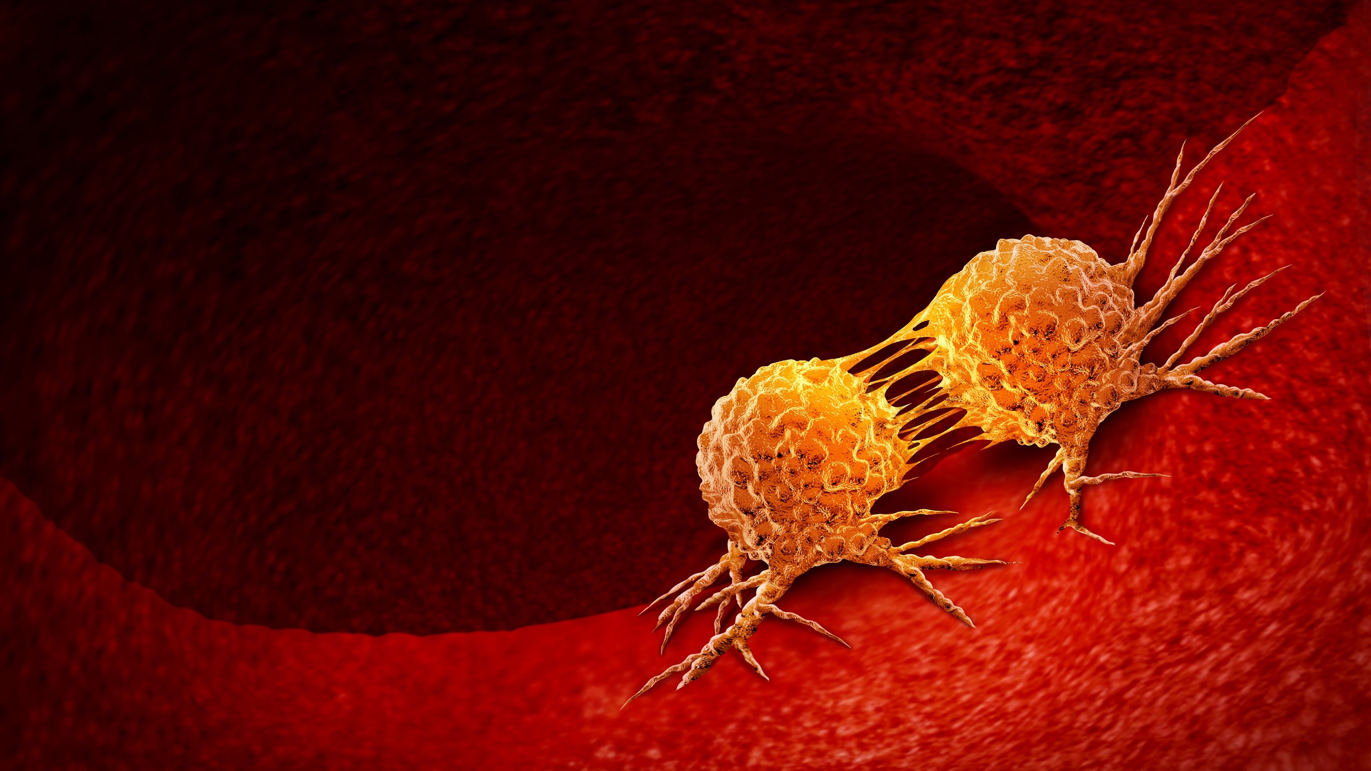 Cáncer de mama y vías biliares: aprobación CE-IVDR de la UE para ampliar indicaciones del test HER2 (4B5)