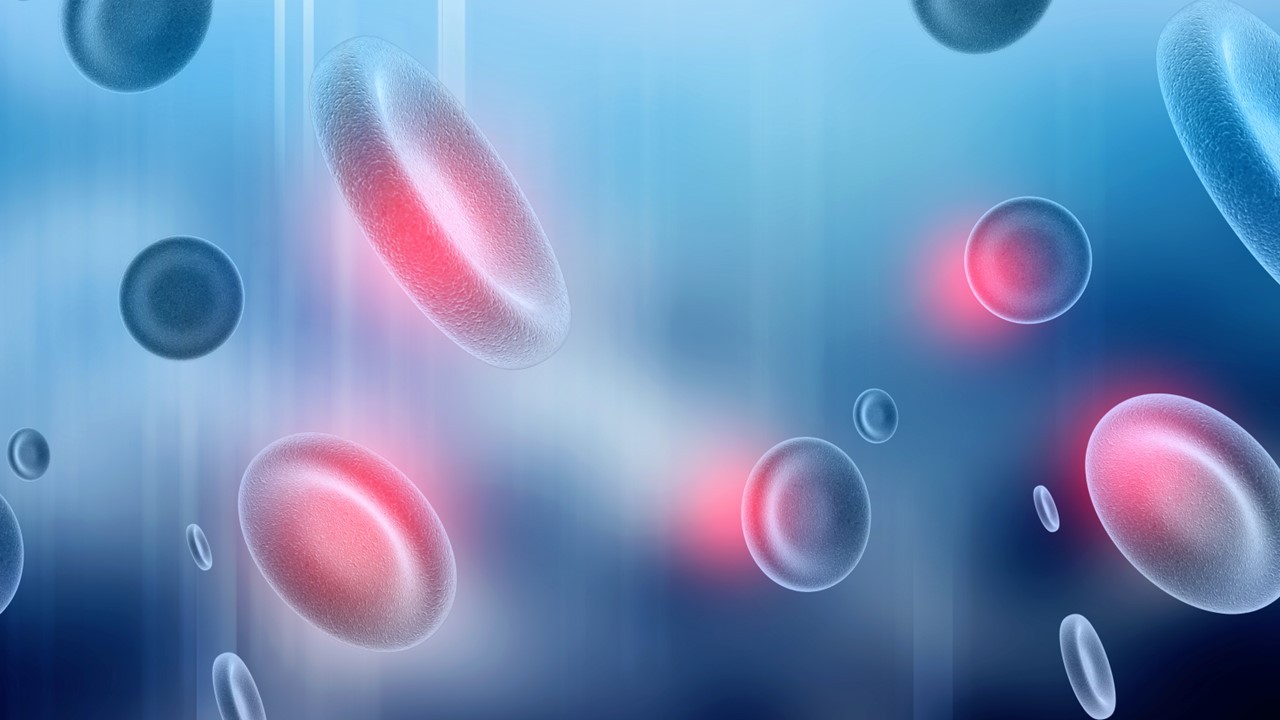 MM recién diagnosticado: daratumumab + lenalidomida con exposición reducida a dexametasona mejoran la SLP, estudio IFM2017-03