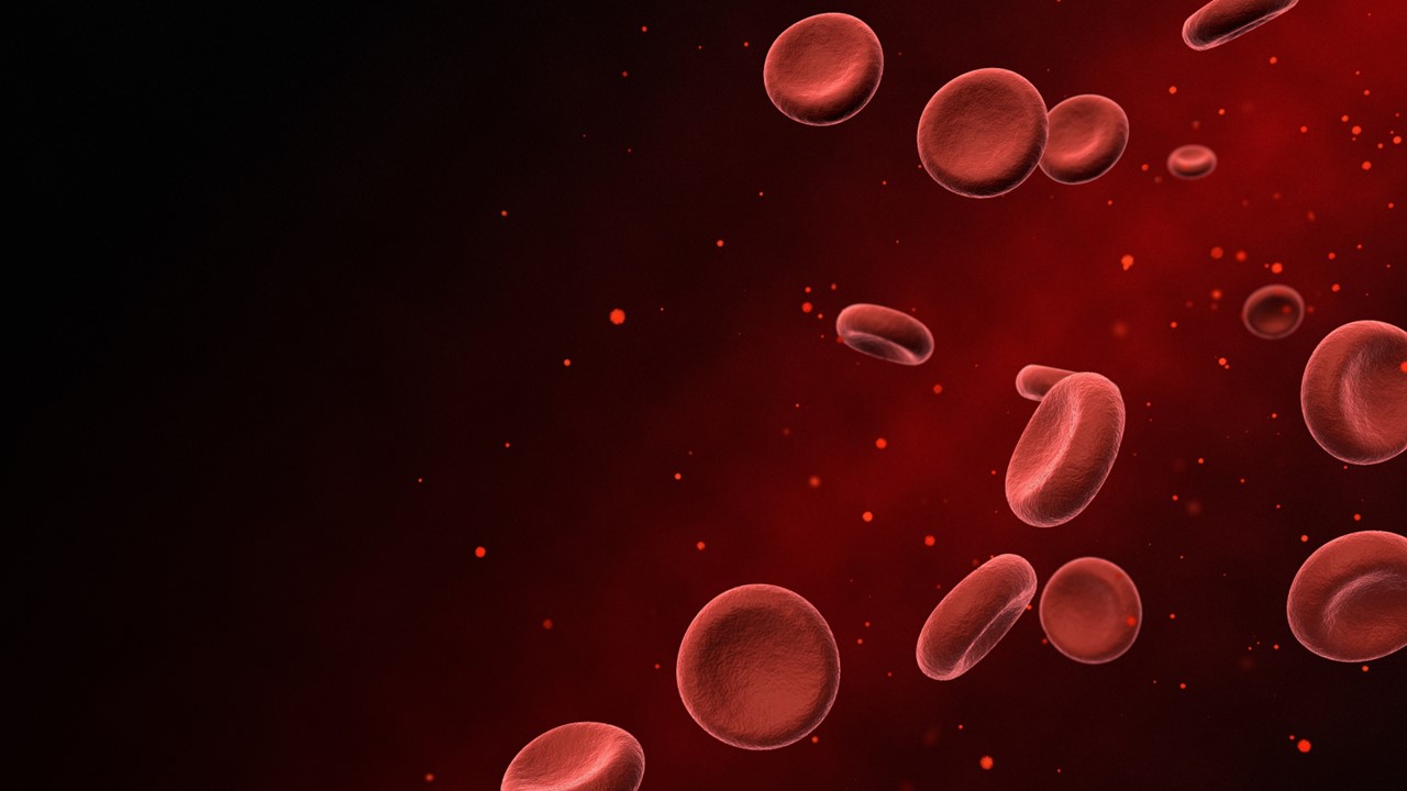 LMA: la FDA aprueba ziftomenib para pacientes con recaída o refractarios con mutación NPM1, estudio KO-MEN-001