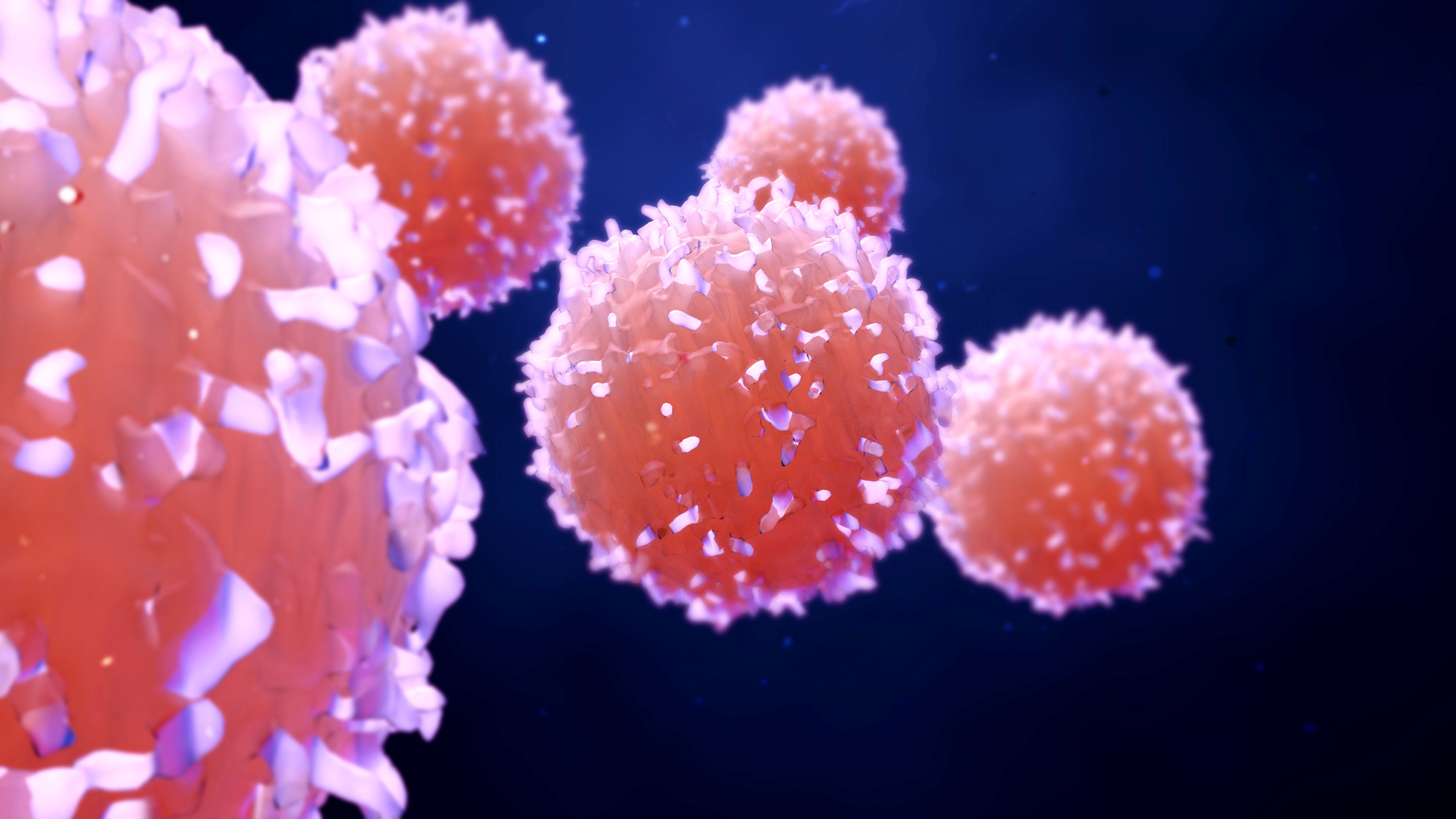 Linfoma folicular R/R: Aprobación europea de tafasitamab combinado con lenalidomida y rituximab