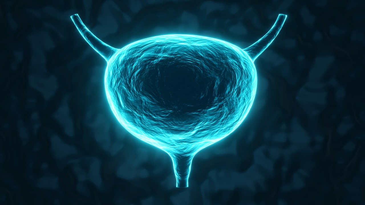 Cáncer de vejiga músculo-invasivo: pembrolizumab más enfortumab vedotin muestran mejoras significativas frente al tratamiento estándar, estudio KEYNOTE-B15 (EV-304)
