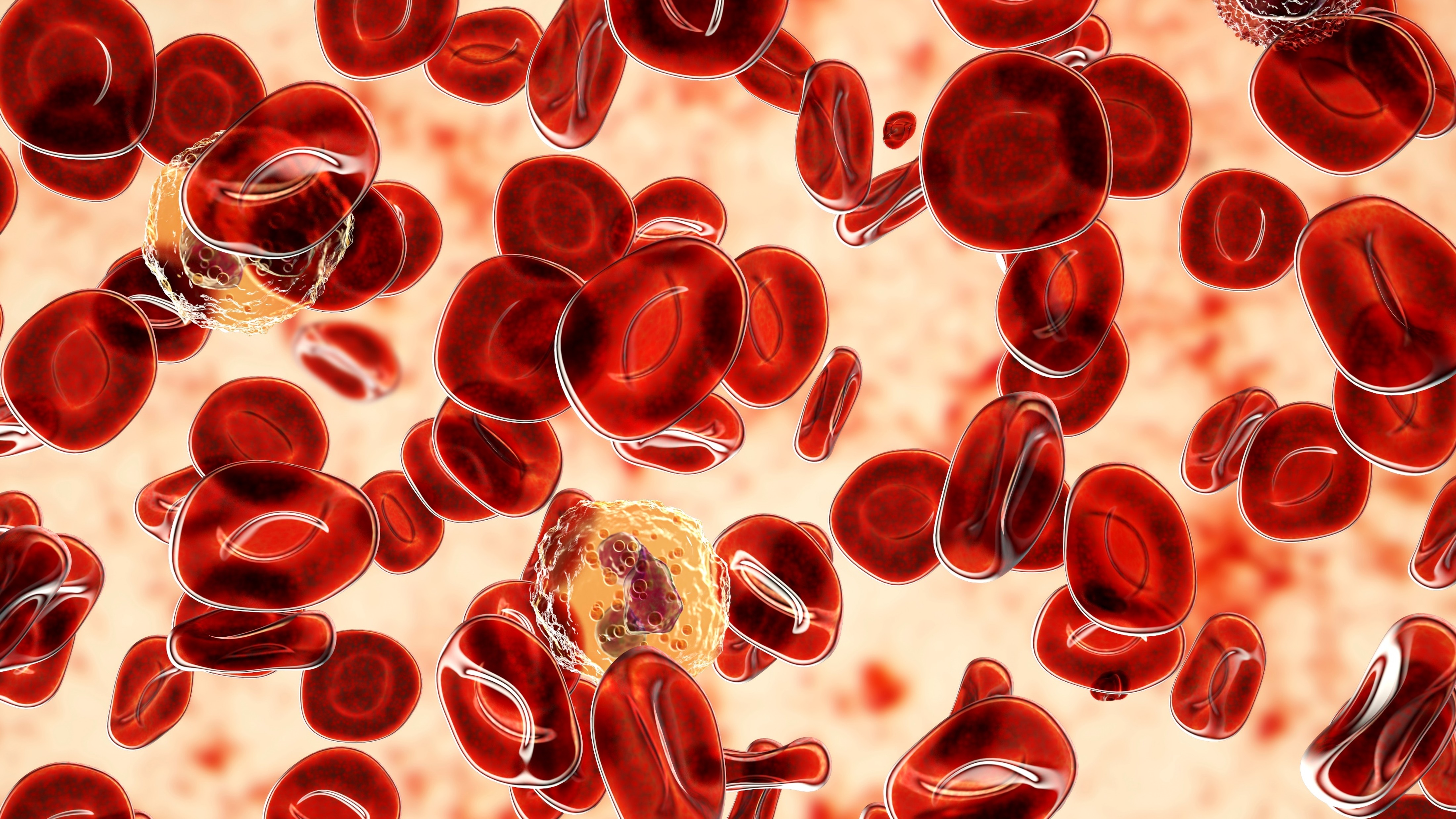 LDCBG R/R: resultados preliminares de epcoritamab en pacientes no candidatos a trasplante, estudio EPCORE DLBCL-1