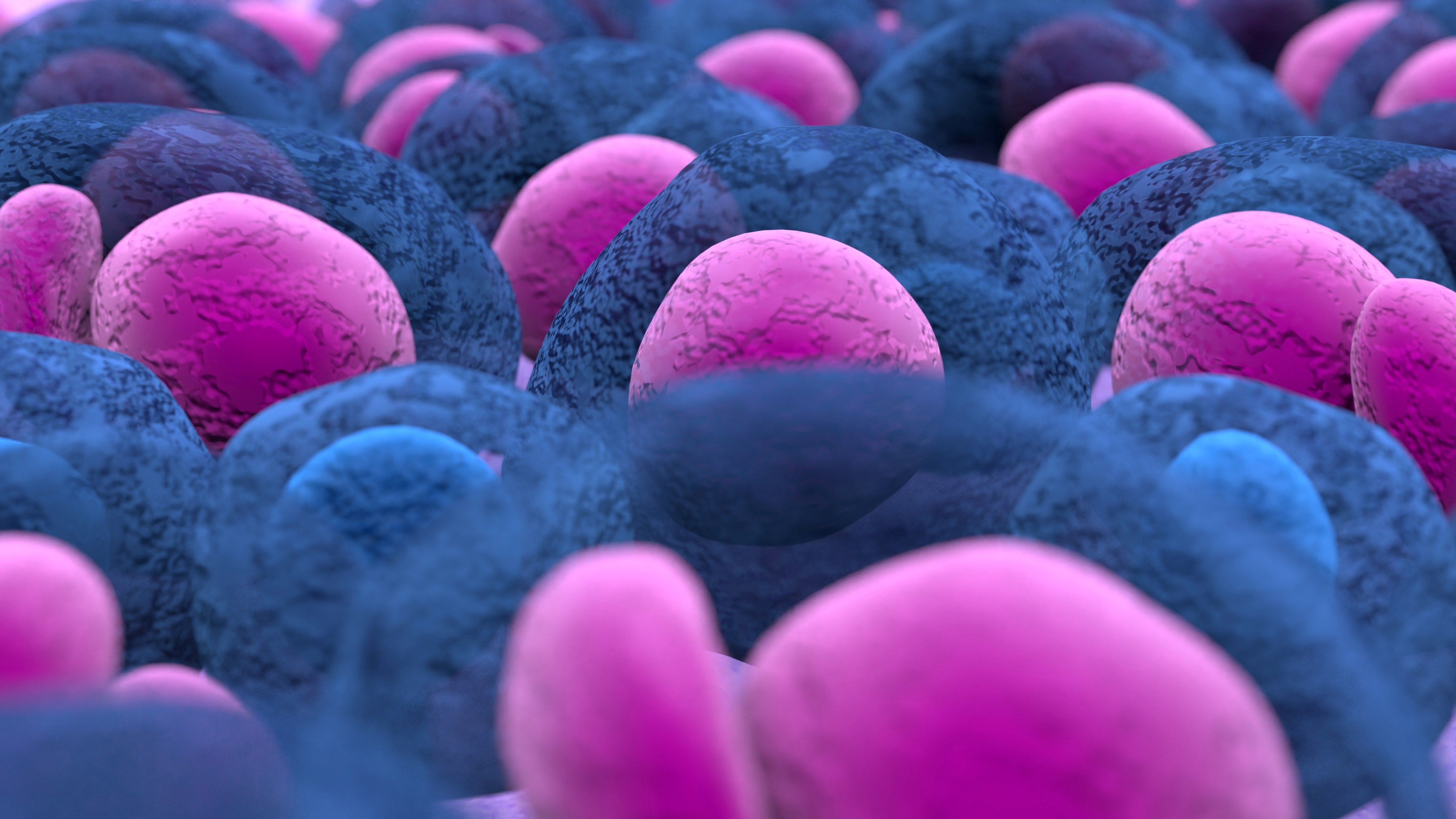 Linfoma folicular recidivante o refractario: tafasitamab mejora la SLP, estudio inMIND