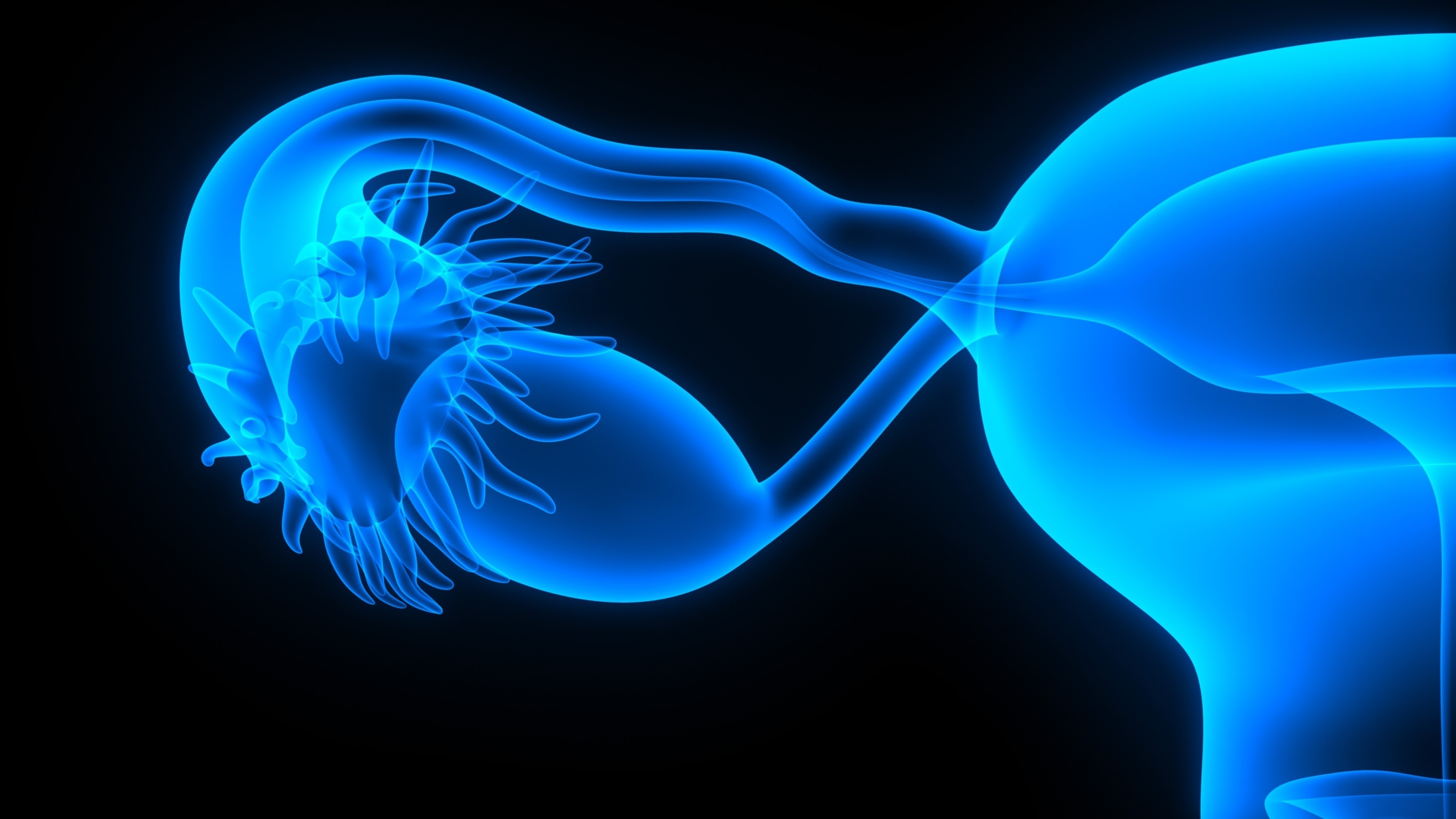 MyChoice® CDx como diagnóstico acompañante de niraparib en cáncer de ovario avanzado