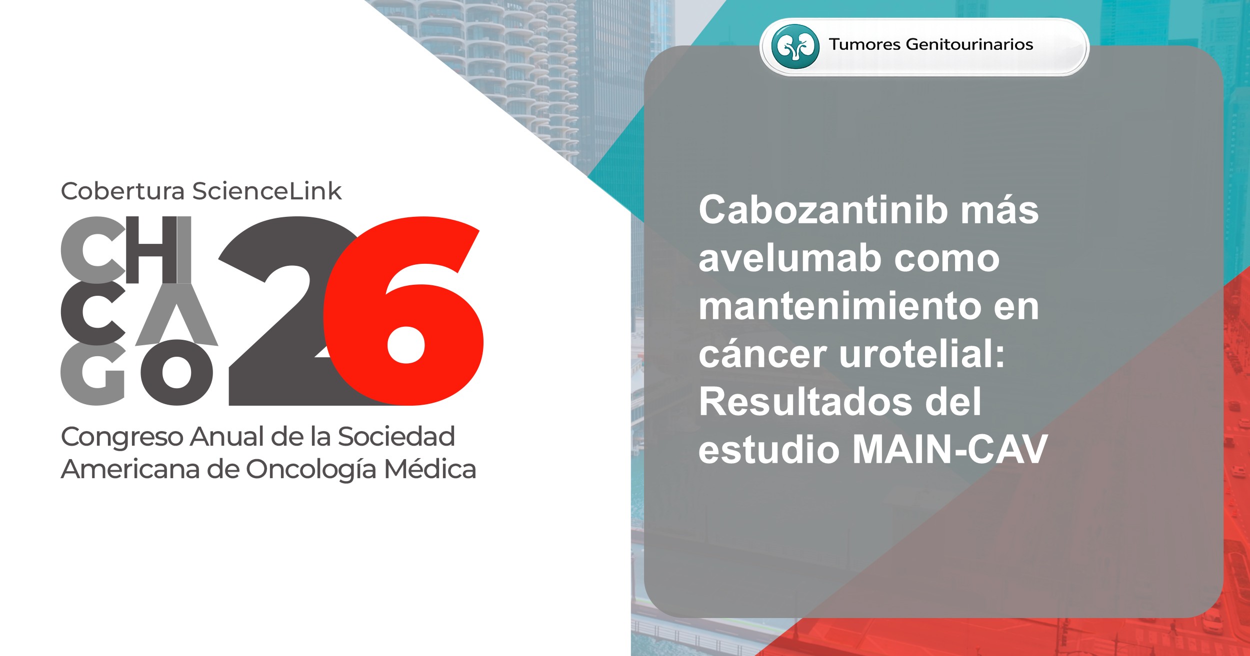 Cabozantinib más avelumab como mantenimiento en cáncer urotelial: Resultados del estudio MAIN-CAV