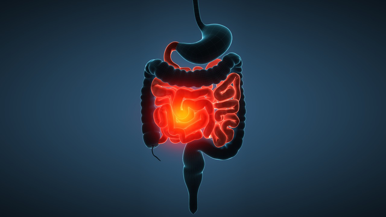 Fruquintinib logra la aprobación en México para cáncer colorrectal metastásico en tercera línea o posteriores