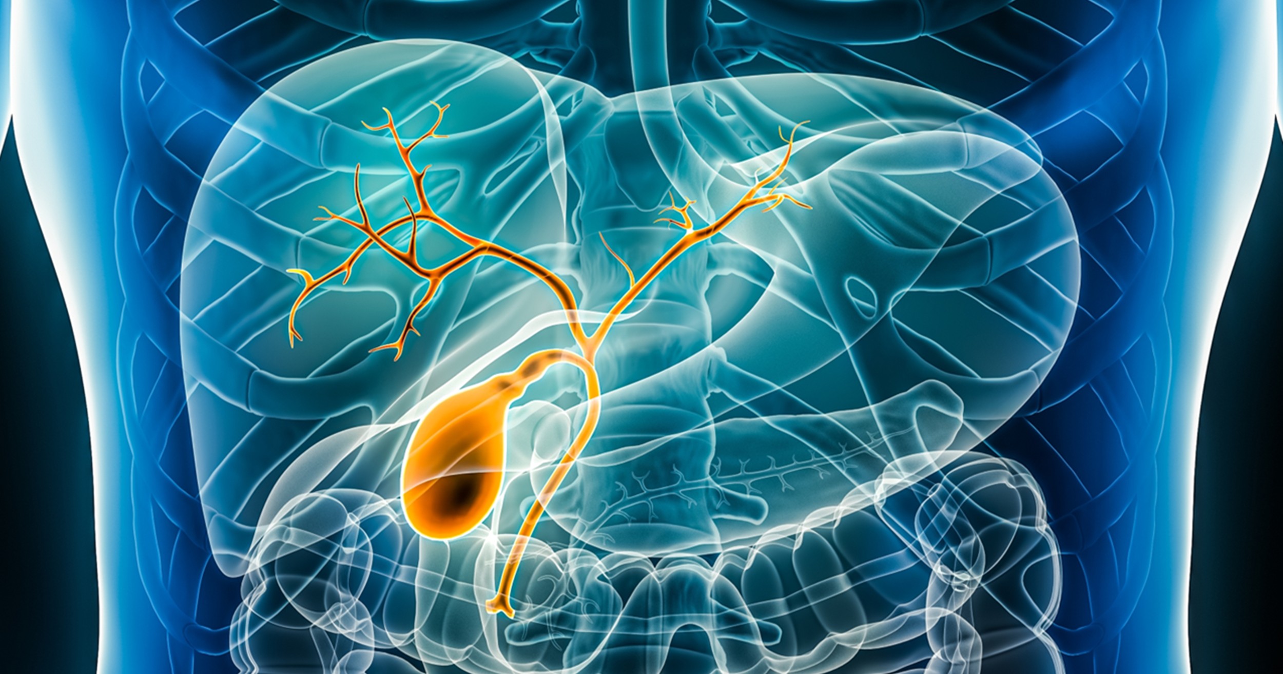 Beneficio sostenido a cuatro años de durvalumab más quimioterapia en cáncer de vías biliares avanzado
